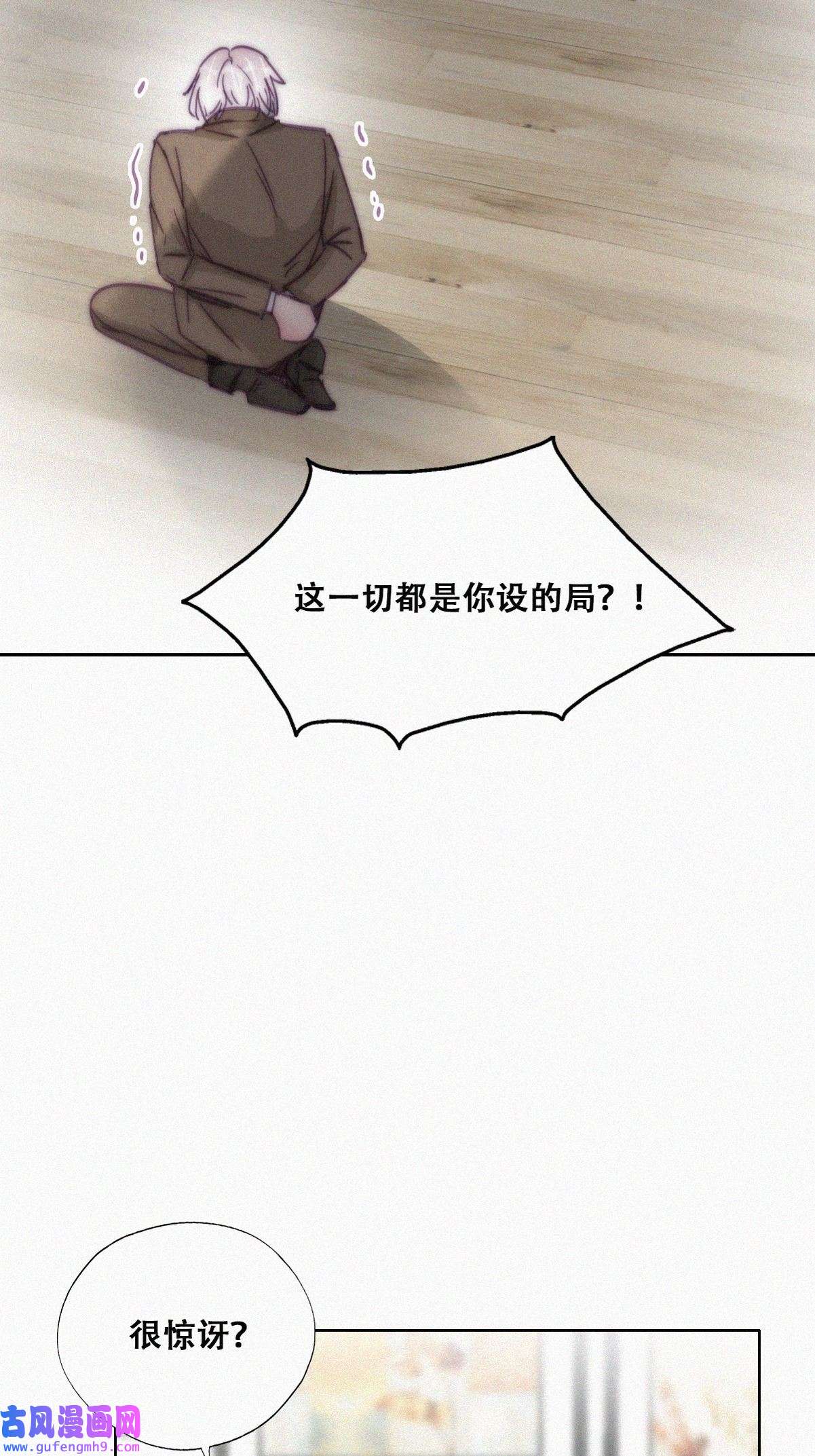 逆袭之好孕人生172 抓岳照