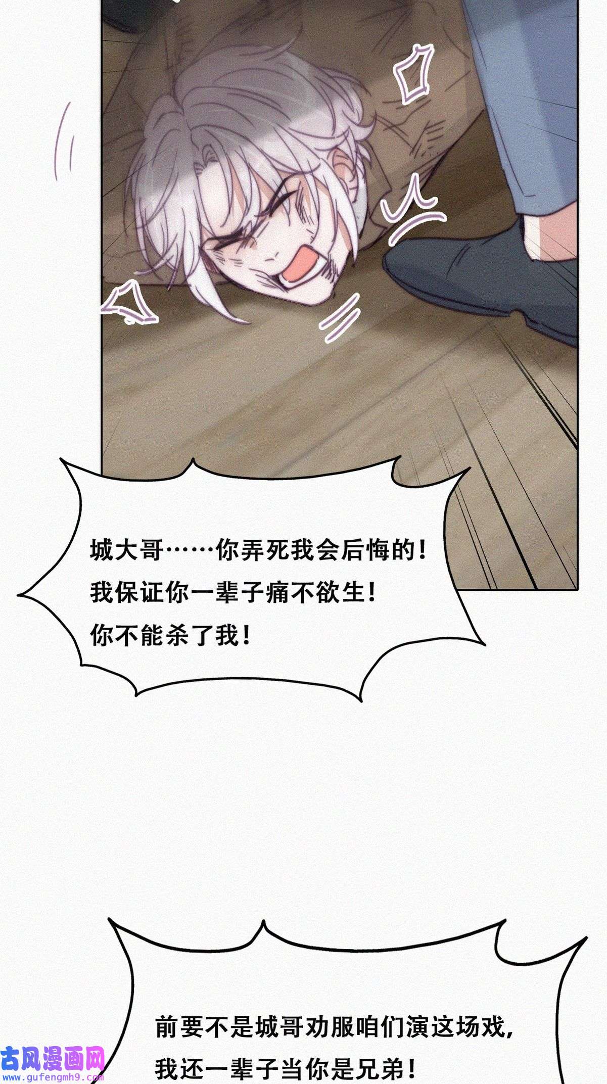 逆袭之好孕人生173 黑炭审岳照
