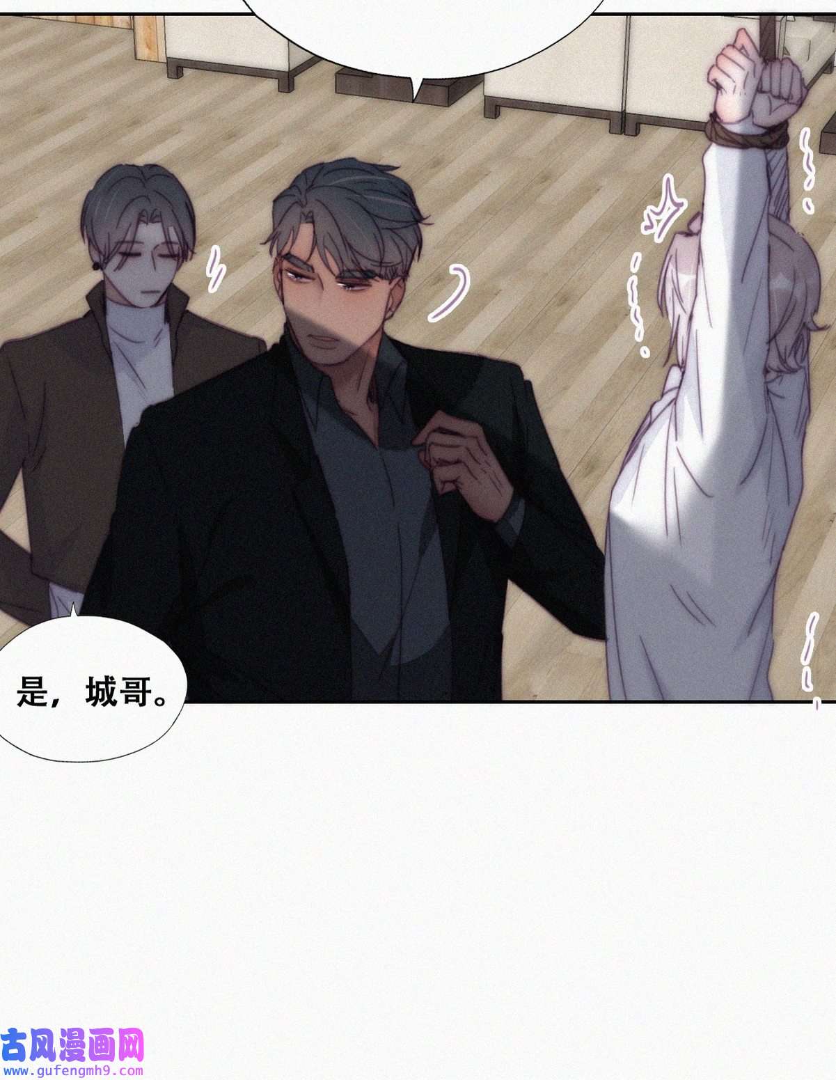 逆袭之好孕人生173 黑炭审岳照