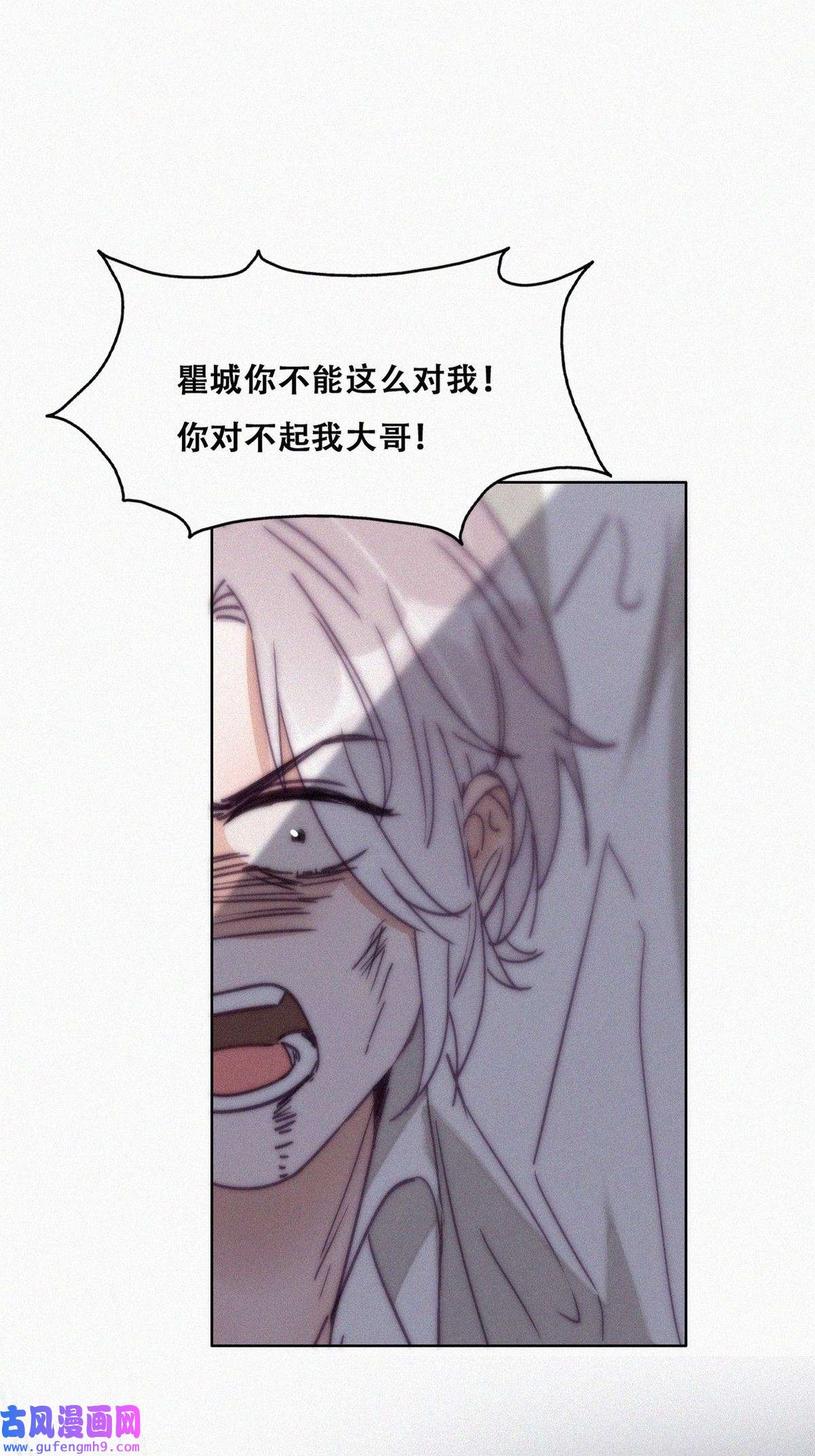 逆袭之好孕人生173 黑炭审岳照