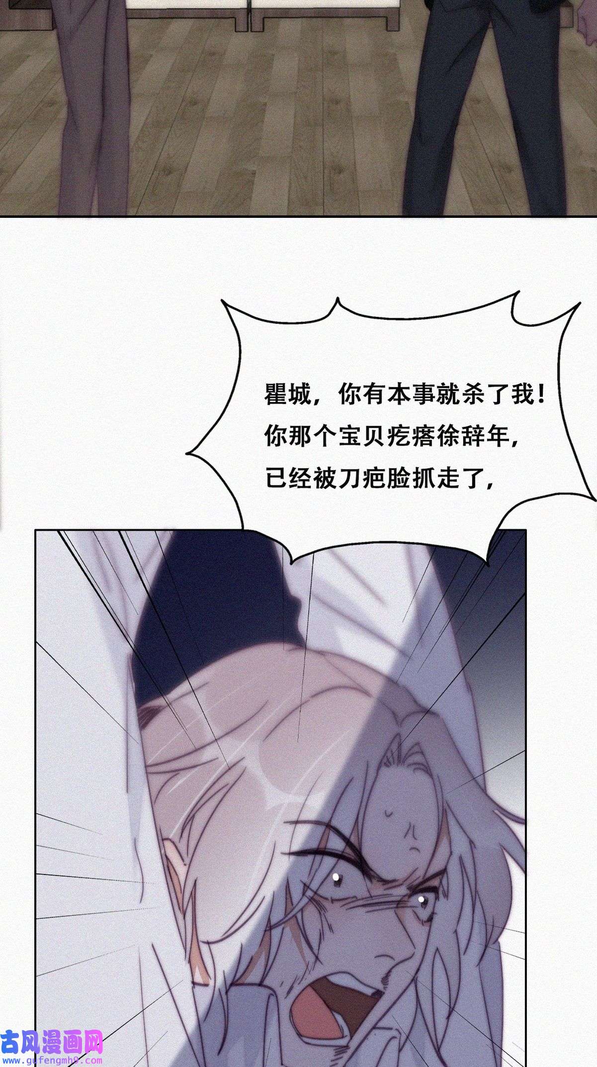 逆袭之好孕人生173 黑炭审岳照