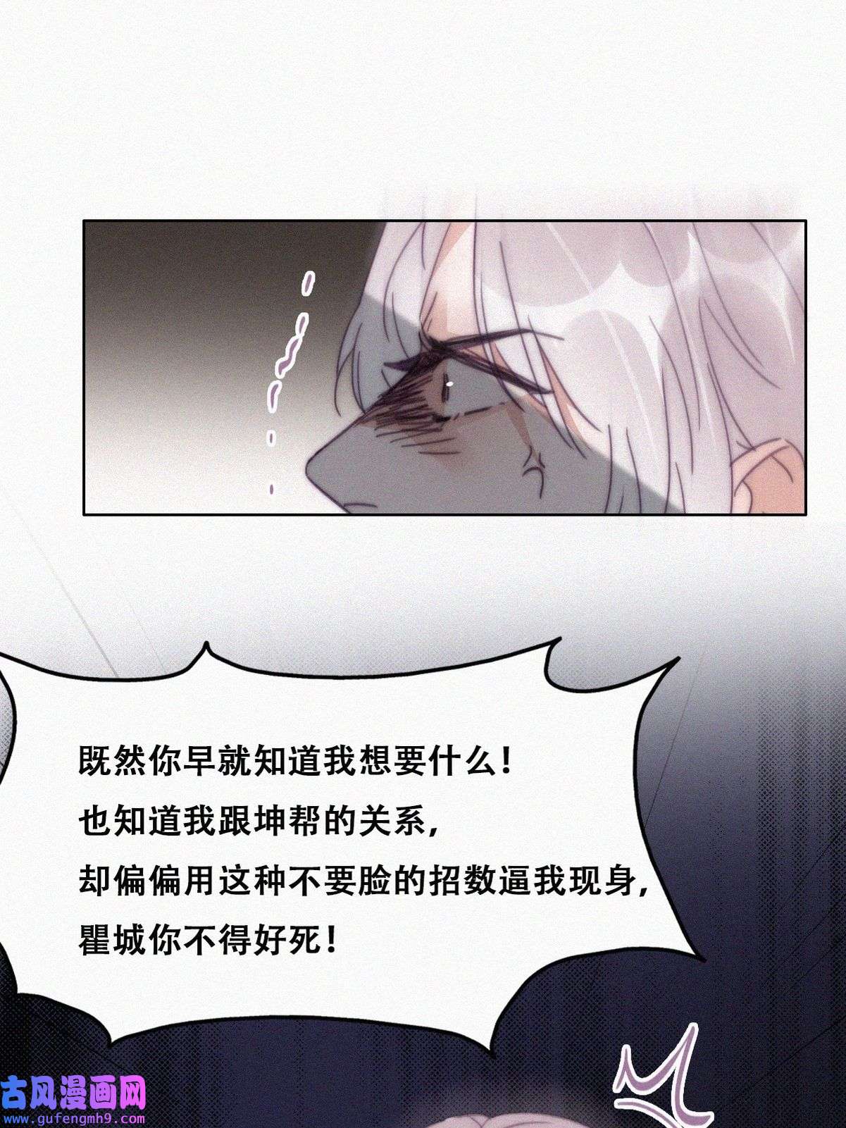 逆袭之好孕人生173 黑炭审岳照