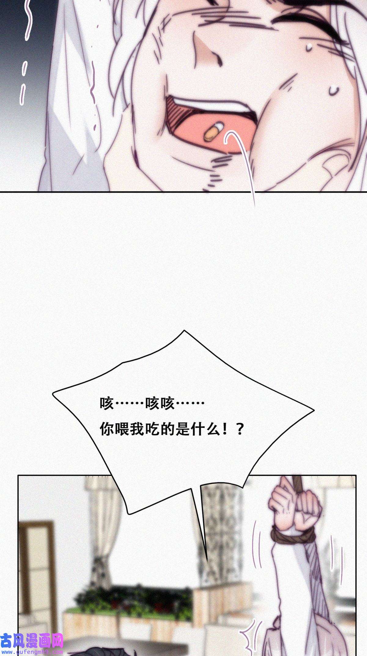 逆袭之好孕人生174 刀疤脸的目的