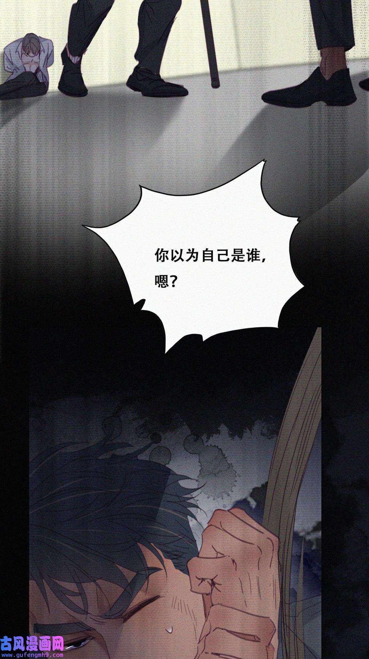 逆袭之好孕人生177 黑炭救辞年