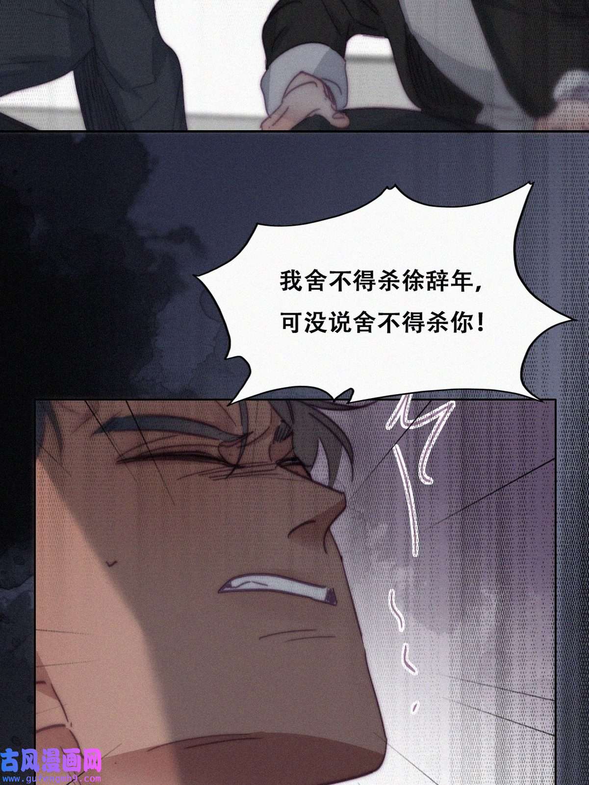 逆袭之好孕人生177 黑炭救辞年