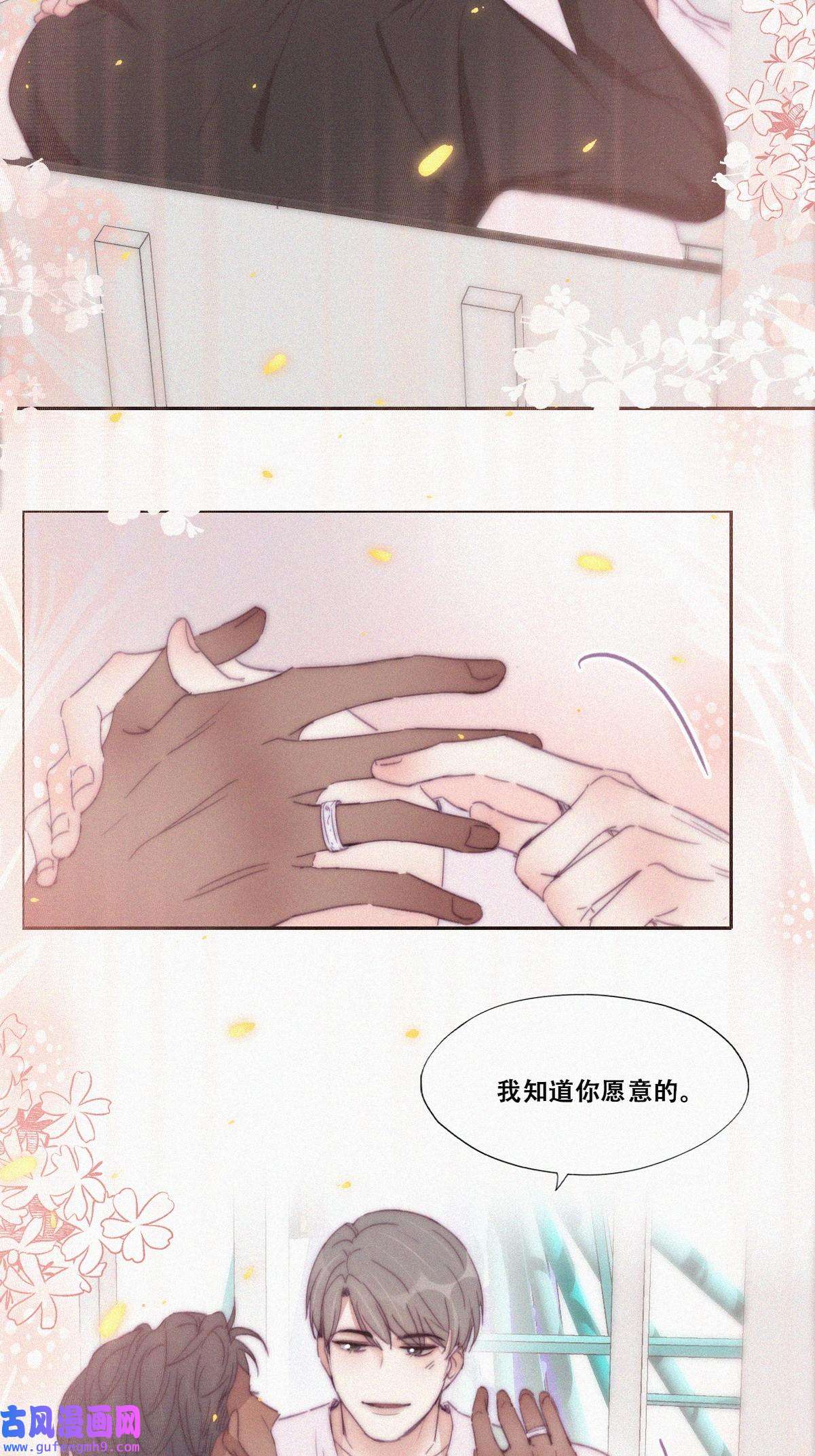 逆袭之好孕人生185 准备求婚