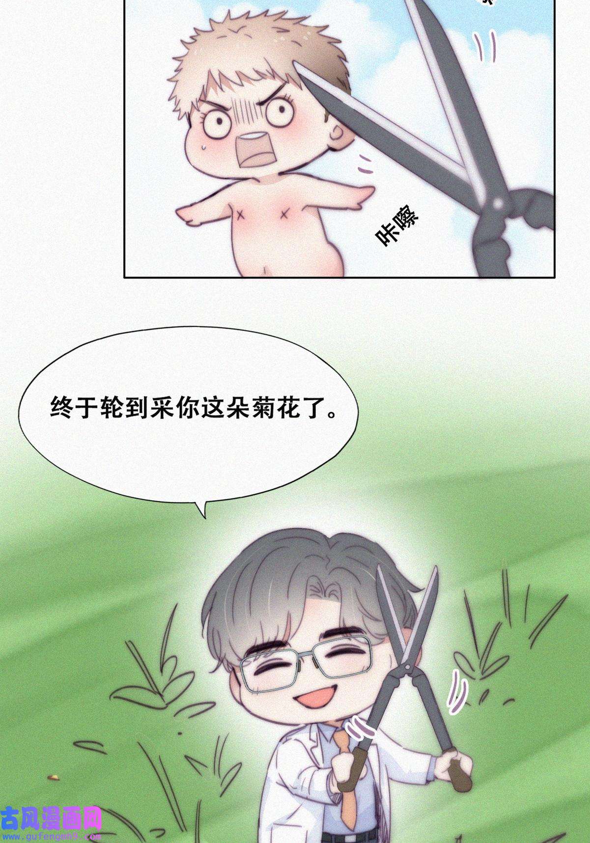 逆袭之好孕人生191 别想采菊花