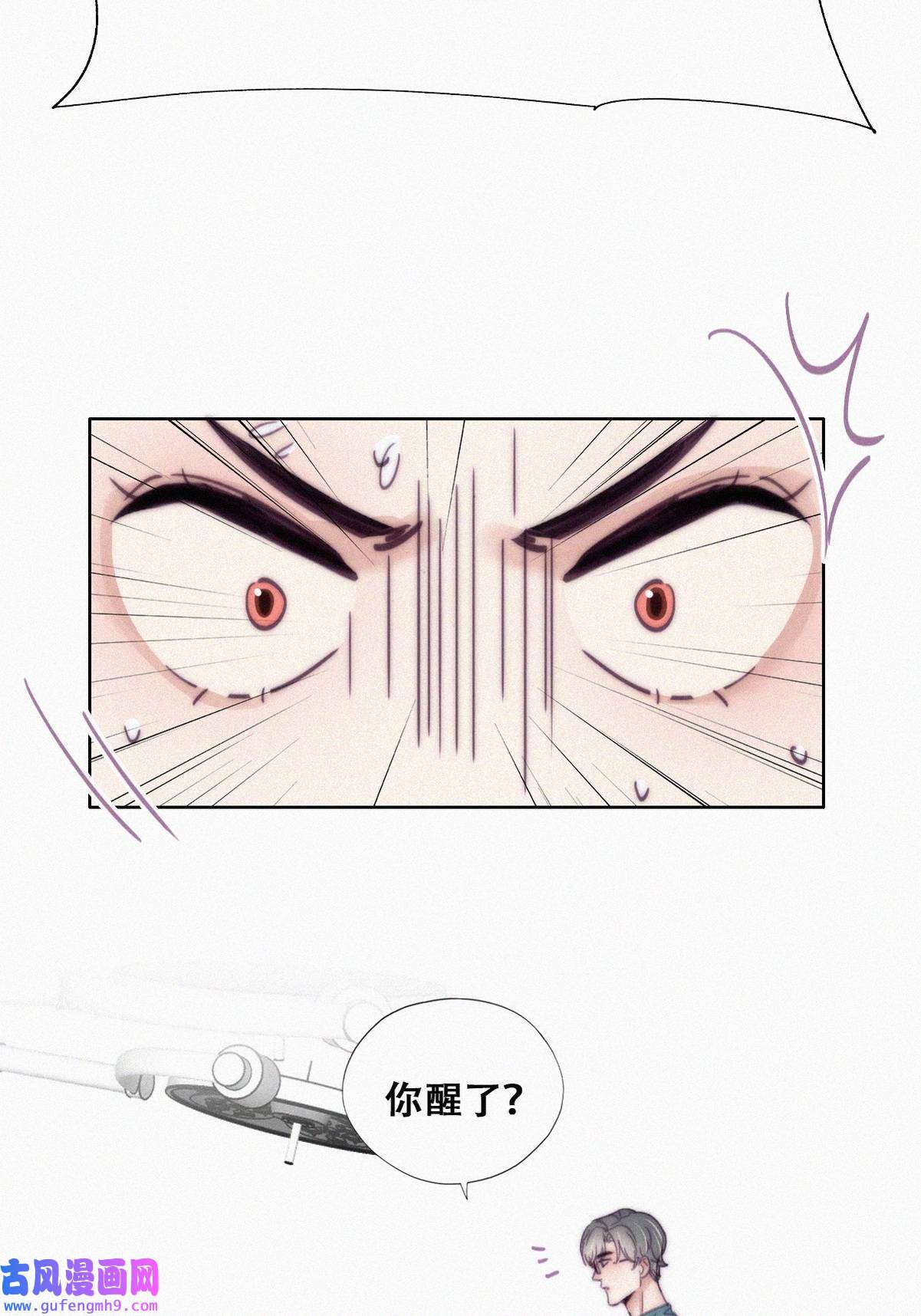 逆袭之好孕人生191 别想采菊花