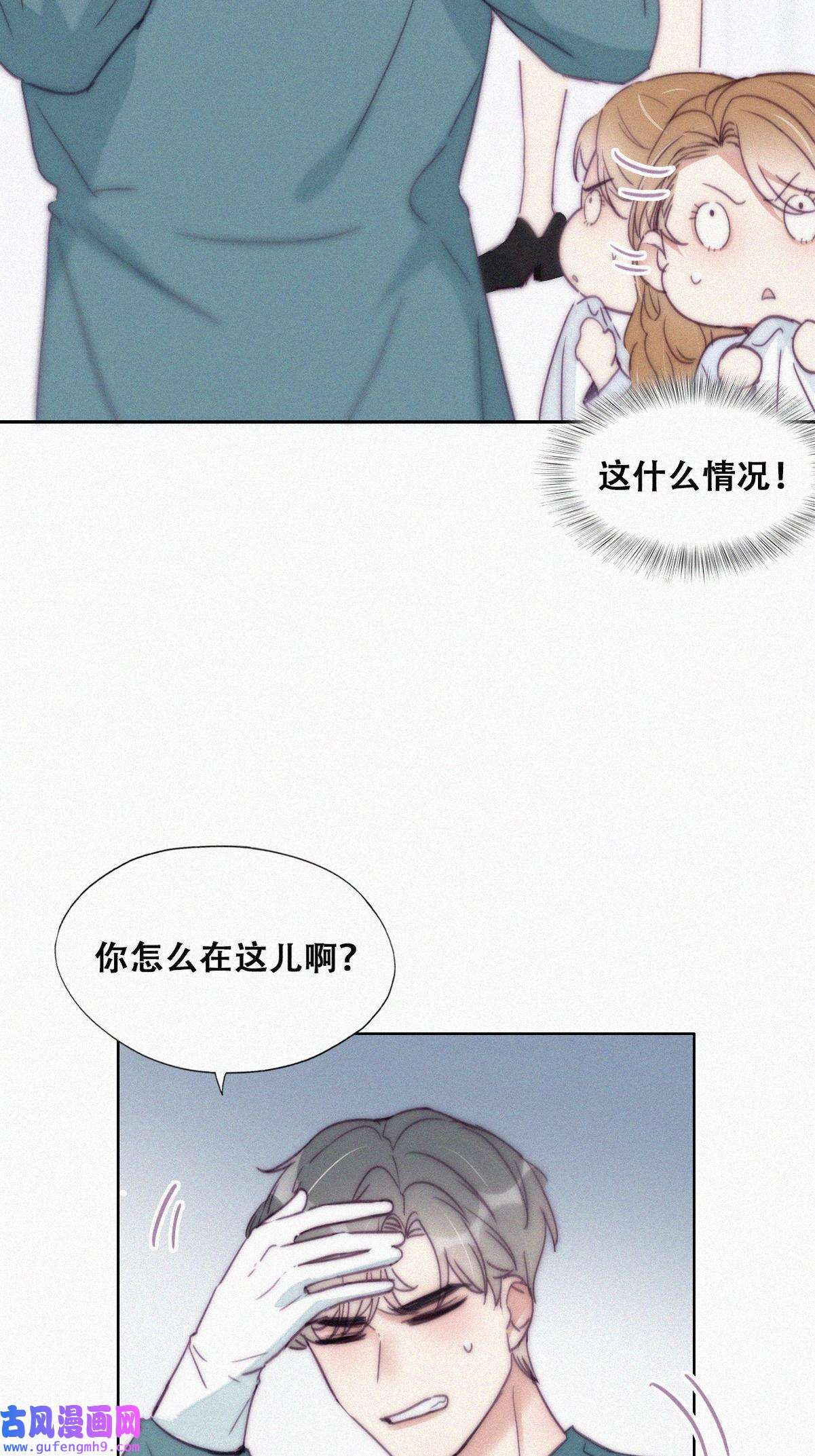 逆袭之好孕人生192 婆婆大人