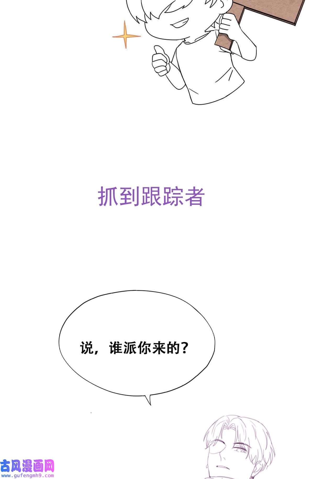 逆袭之好孕人生198 此气球非彼气球