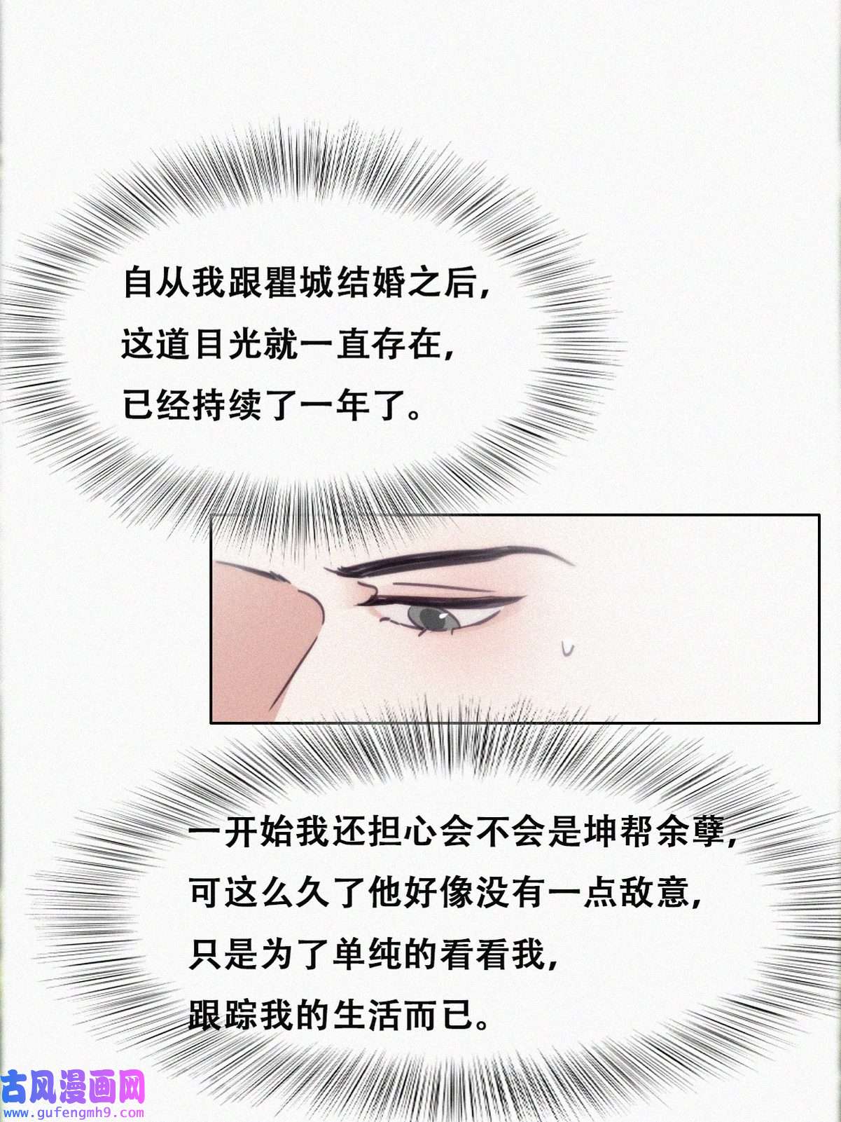 逆袭之好孕人生199 有人跟踪辞年