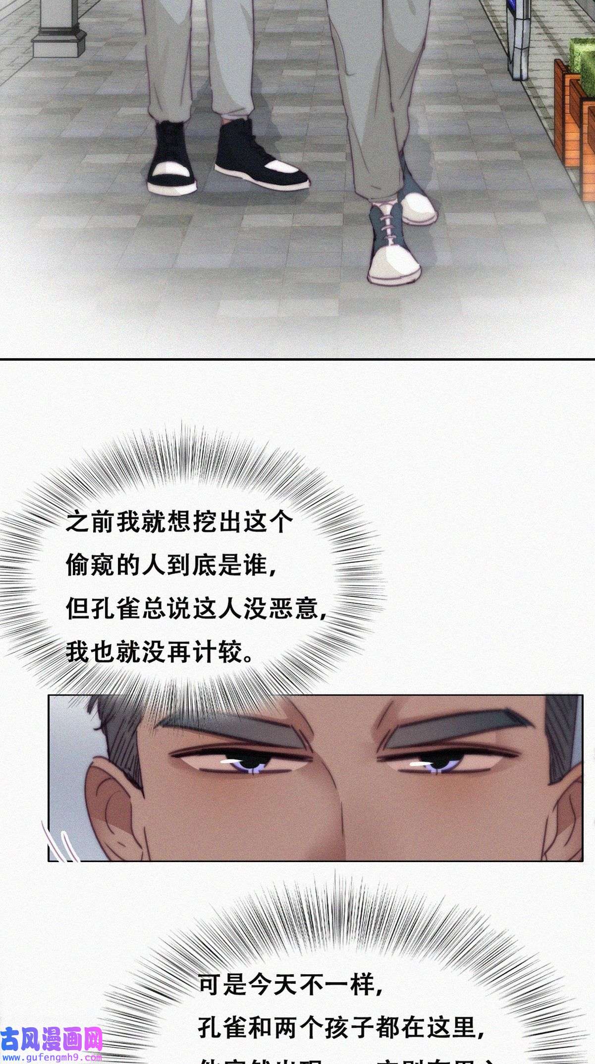 逆袭之好孕人生199 有人跟踪辞年