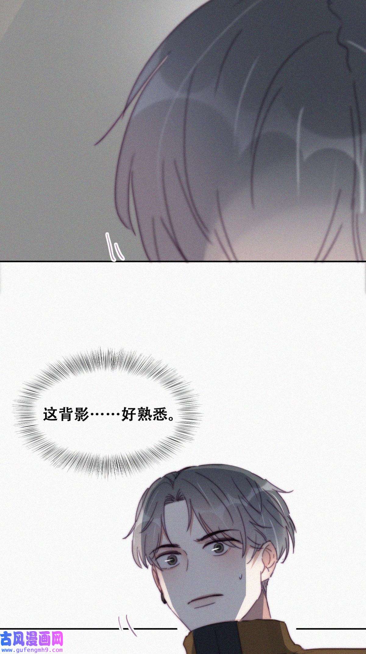 逆袭之好孕人生199 有人跟踪辞年