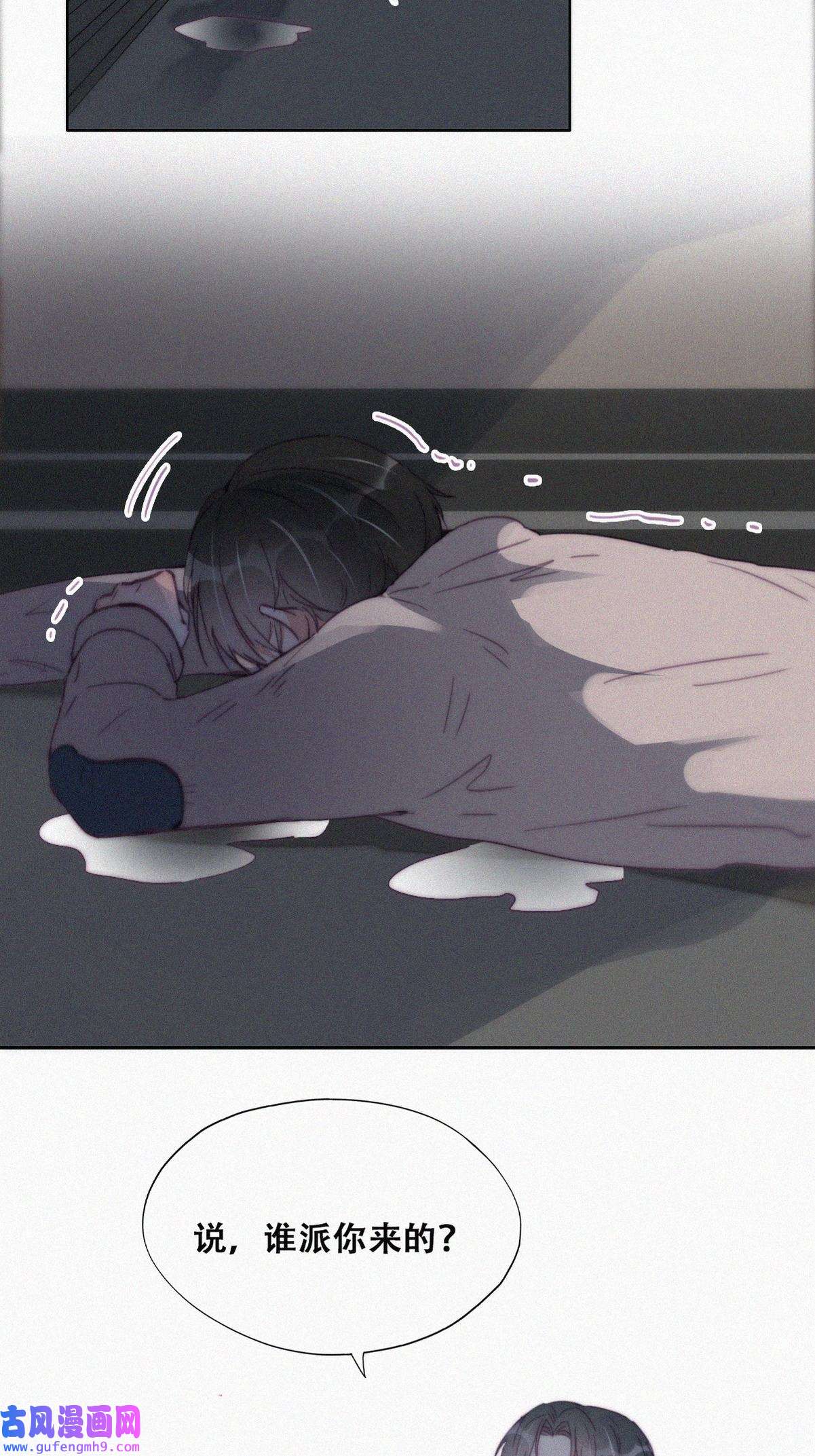 逆袭之好孕人生199 有人跟踪辞年