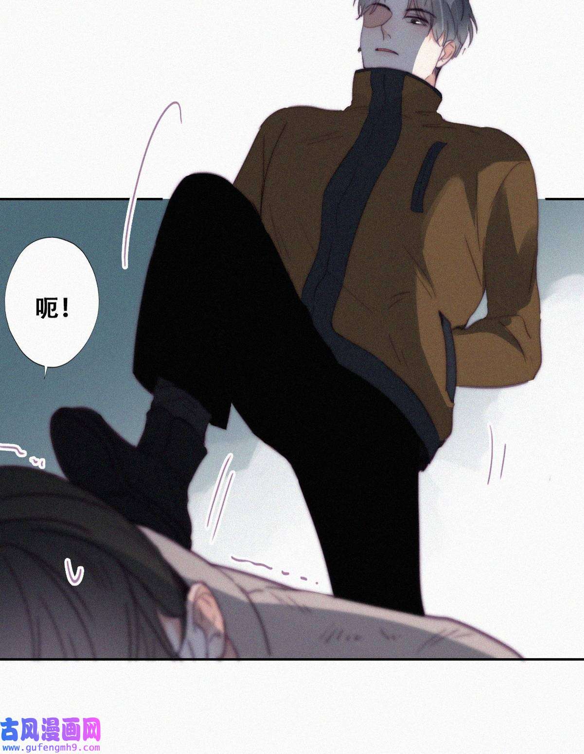 逆袭之好孕人生199 有人跟踪辞年