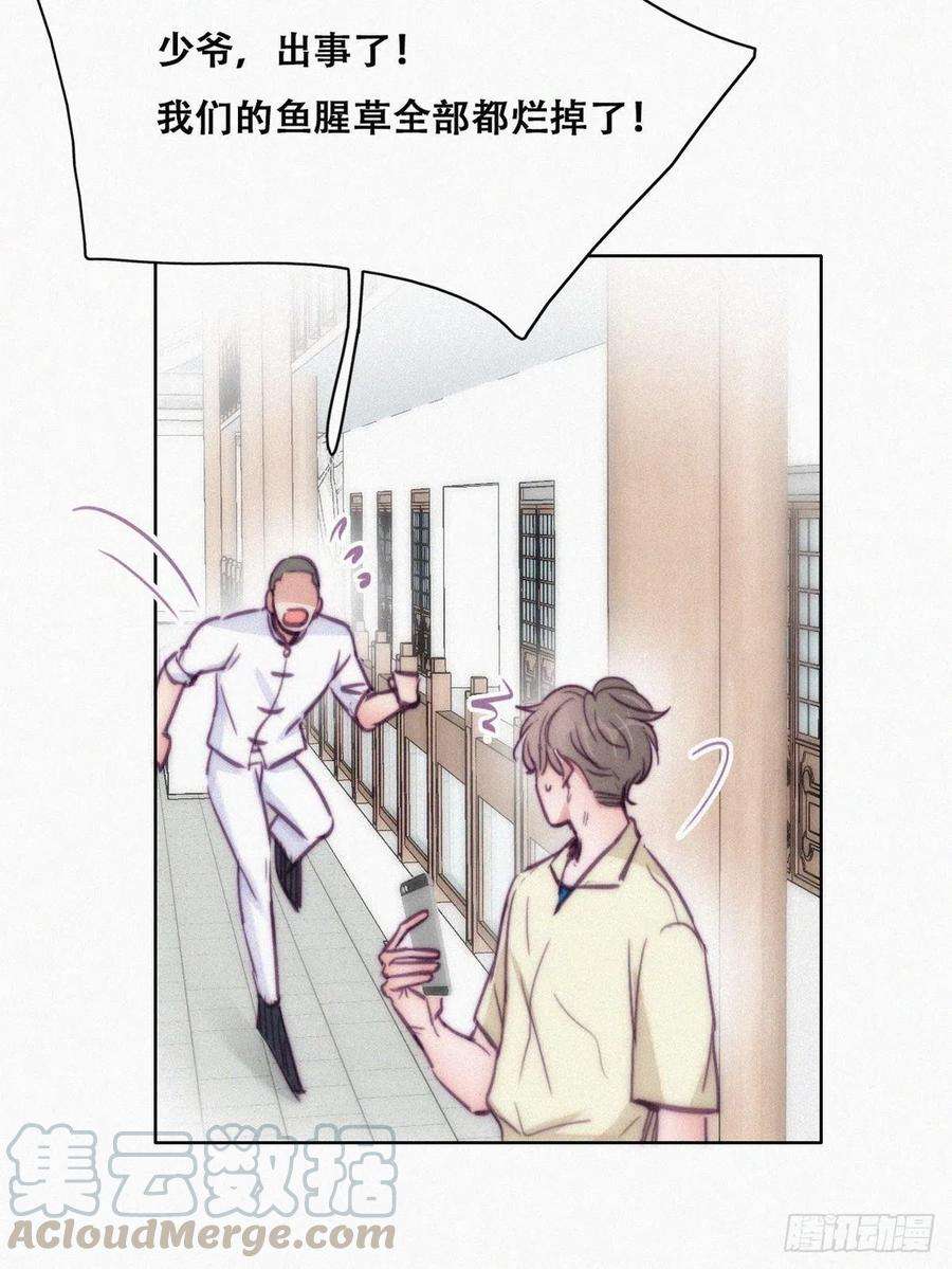 逆袭之好孕人生127话 计谋开始