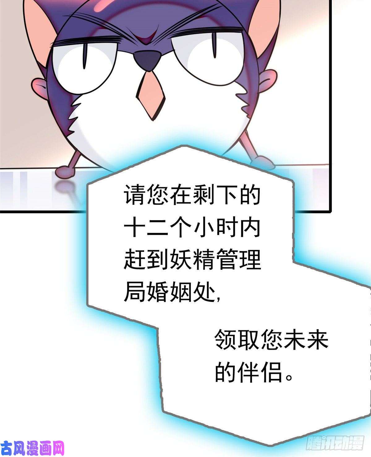 全网都是我和影帝CP粉001