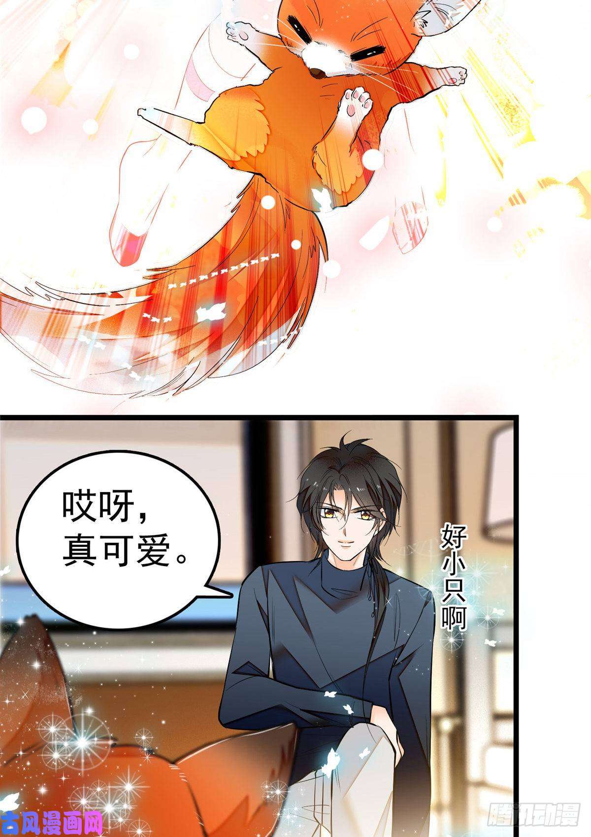 全网都是我和影帝CP粉004