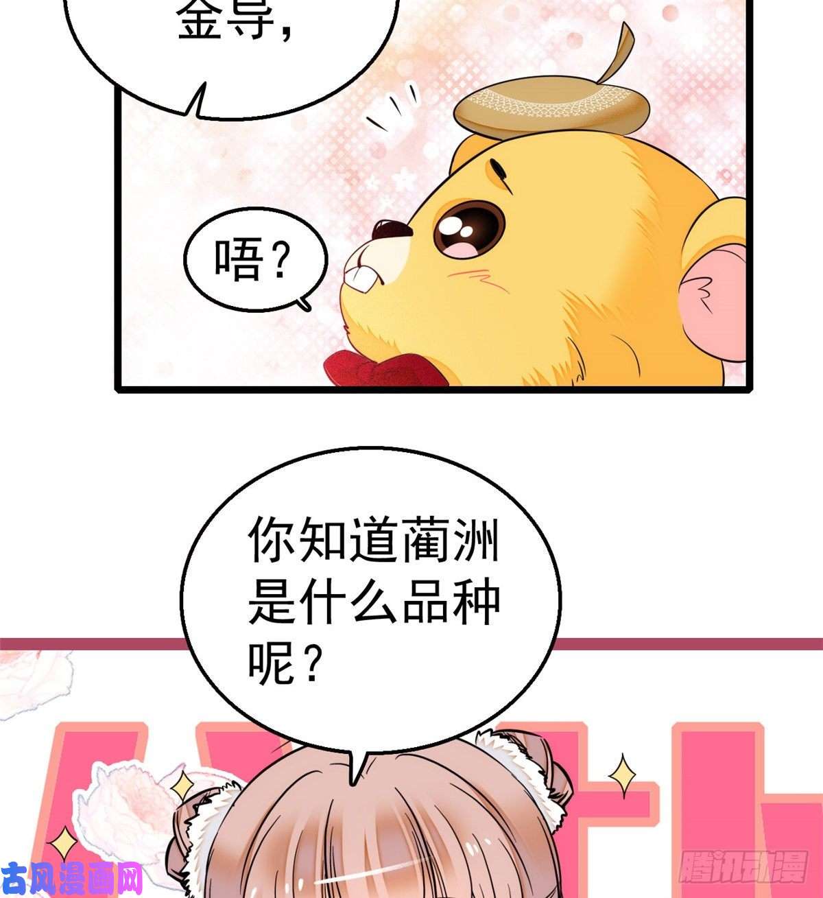 全网都是我和影帝CP粉013 快跑，妈粉要来了！
