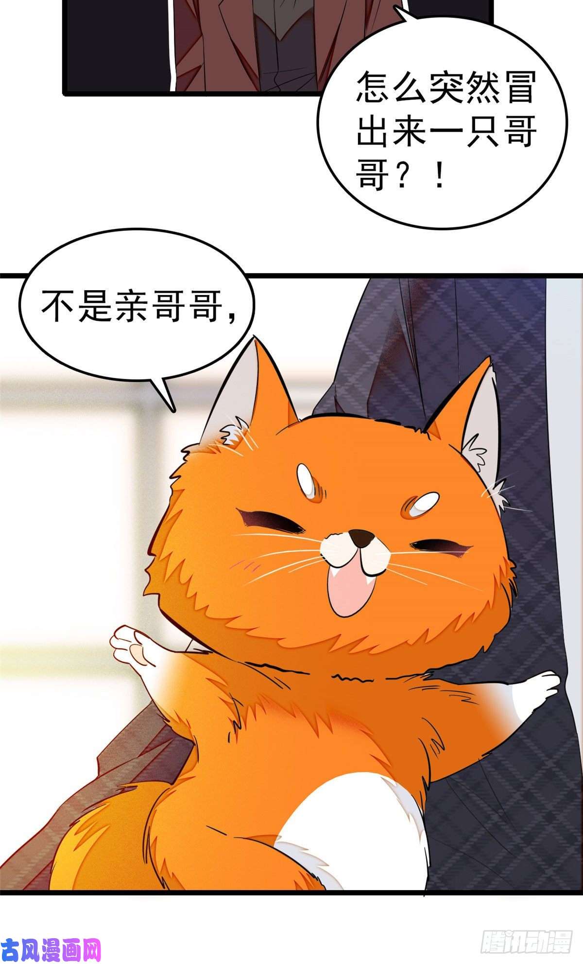 全网都是我和影帝CP粉018哥哥看我的样子怎么有点怪