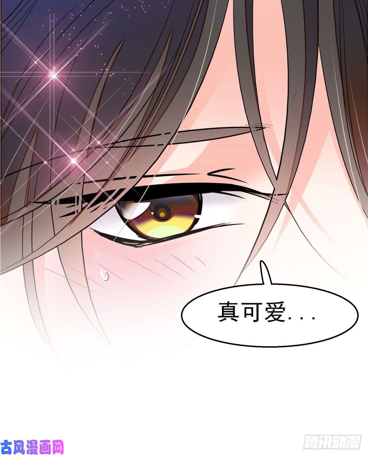 全网都是我和影帝CP粉020 被逼现场交配？