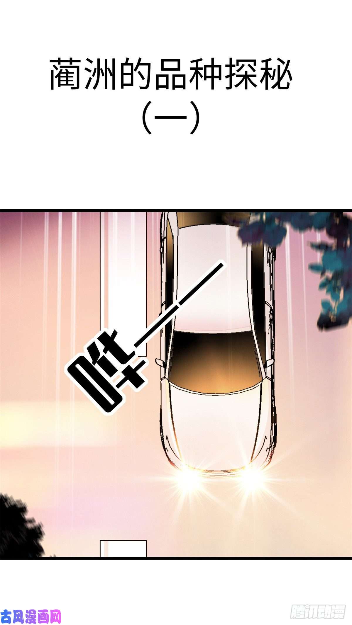 全网都是我和影帝CP粉035.5 蔺洲品种大探秘！