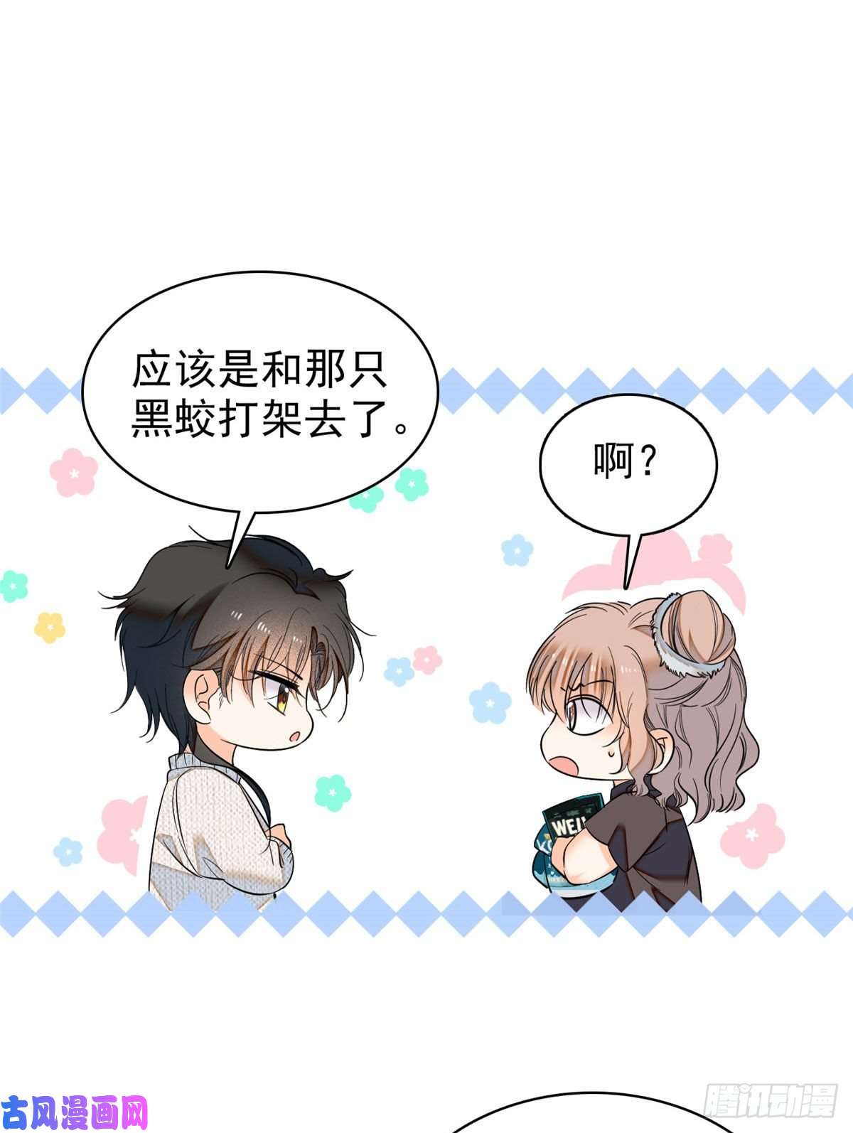 全网都是我和影帝CP粉040 下海前培训