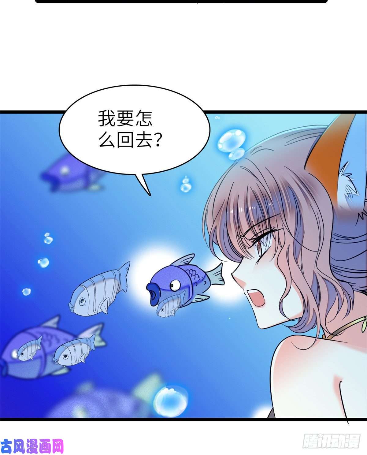 全网都是我和影帝CP粉056 和鱼头汤二人世界？！