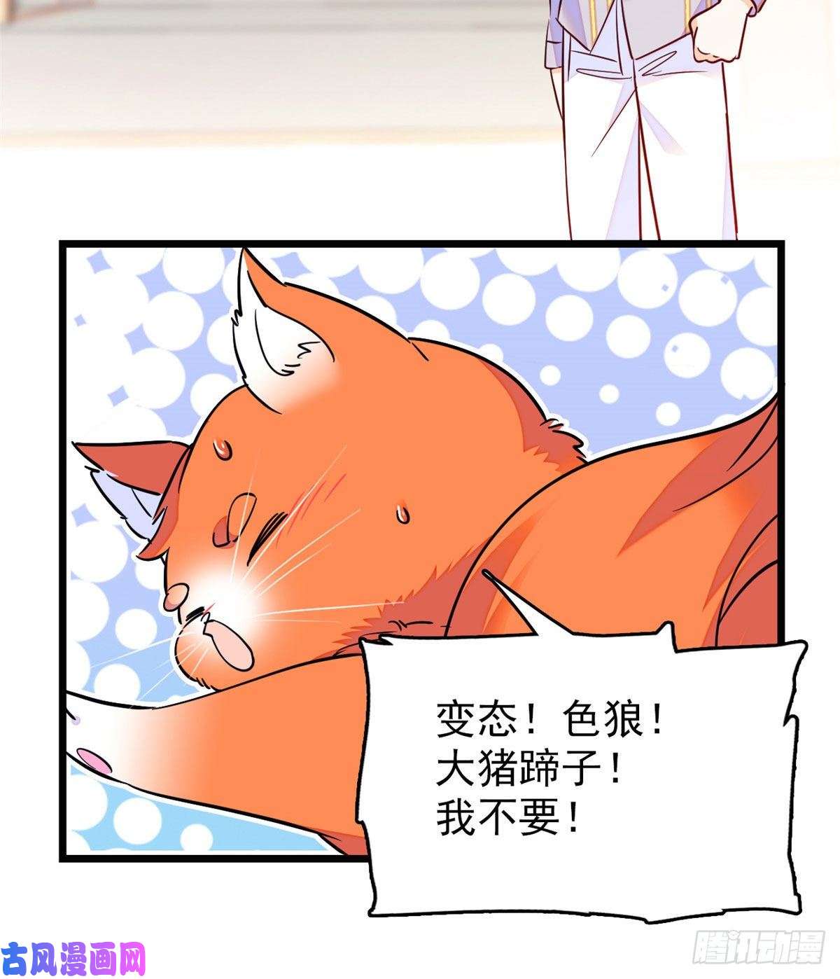 全网都是我和影帝CP粉092 蔺洲你被绿了