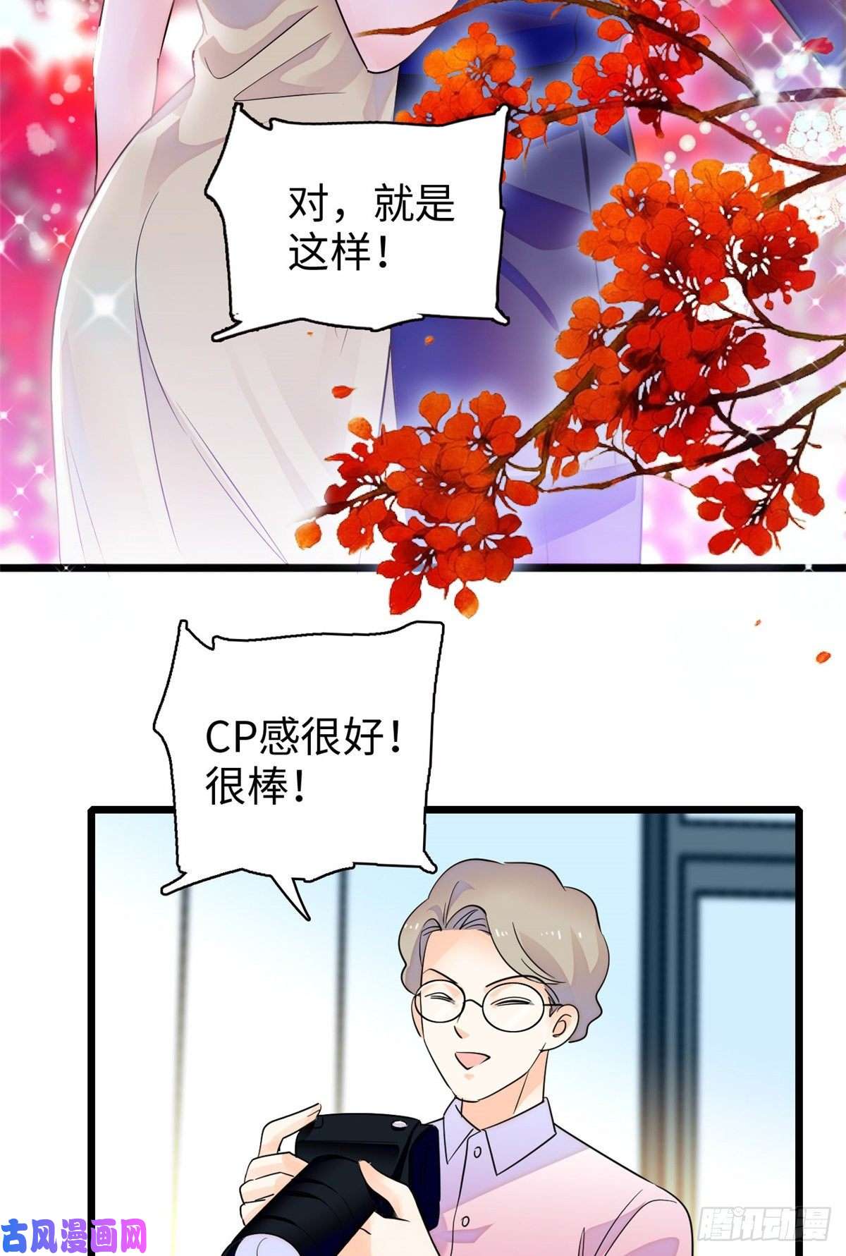 全网都是我和影帝CP粉133 小狐狸的婚纱