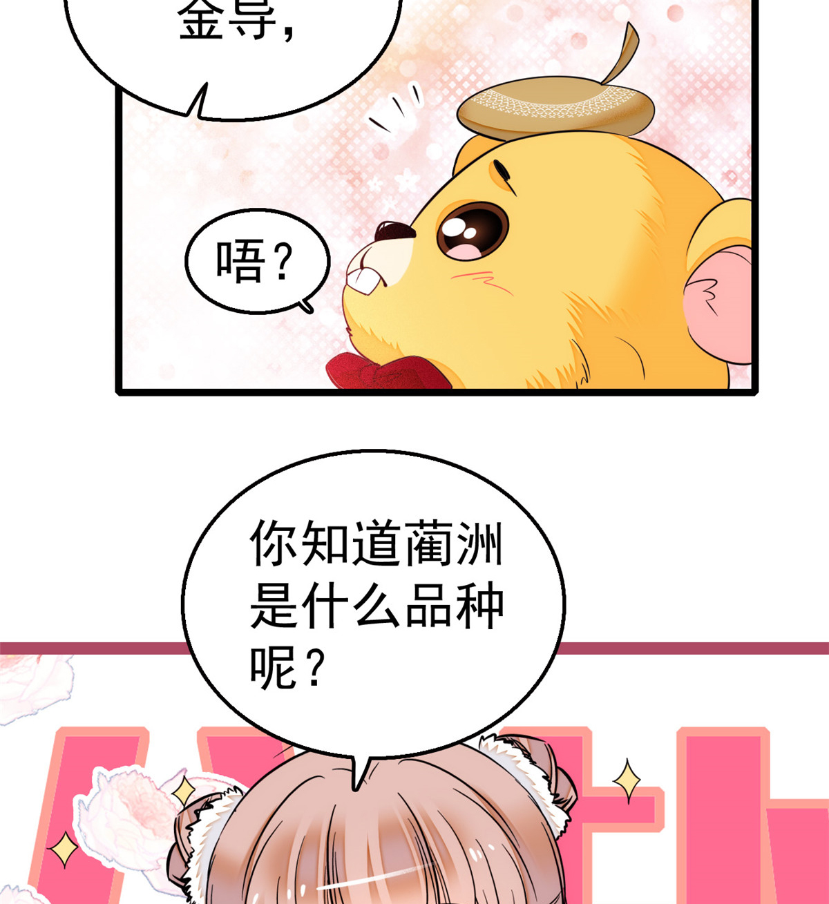 全网都是我和影帝CP粉13 快跑，妈粉要来了！