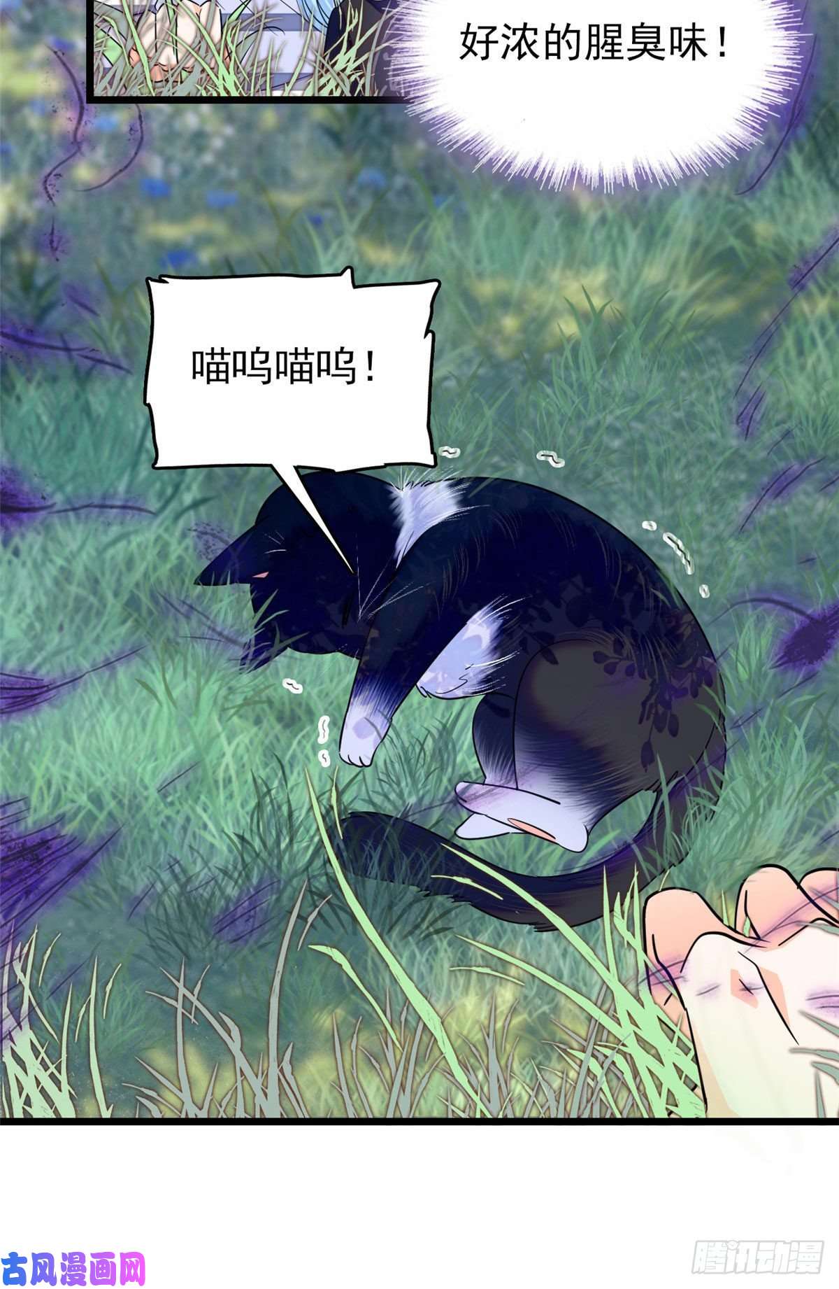 全网都是我和影帝CP粉150 小野猫秒变野男人？