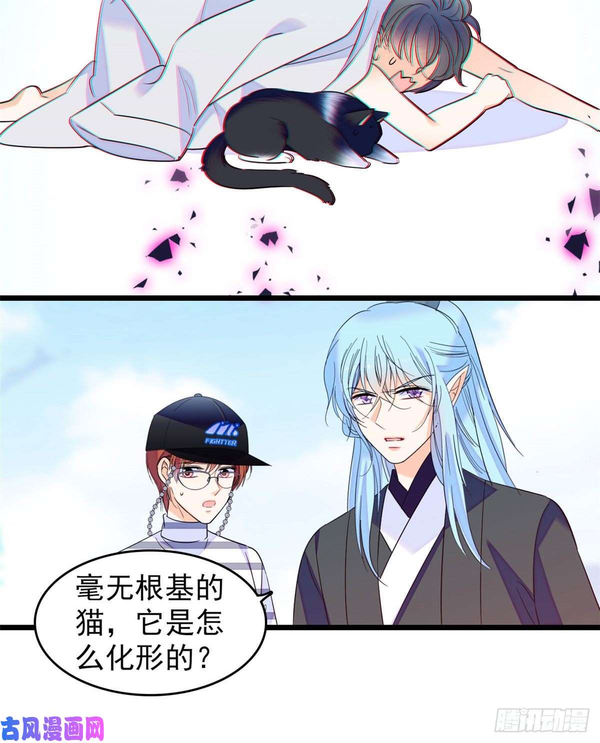 全网都是我和影帝CP粉150 小野猫秒变野男人？