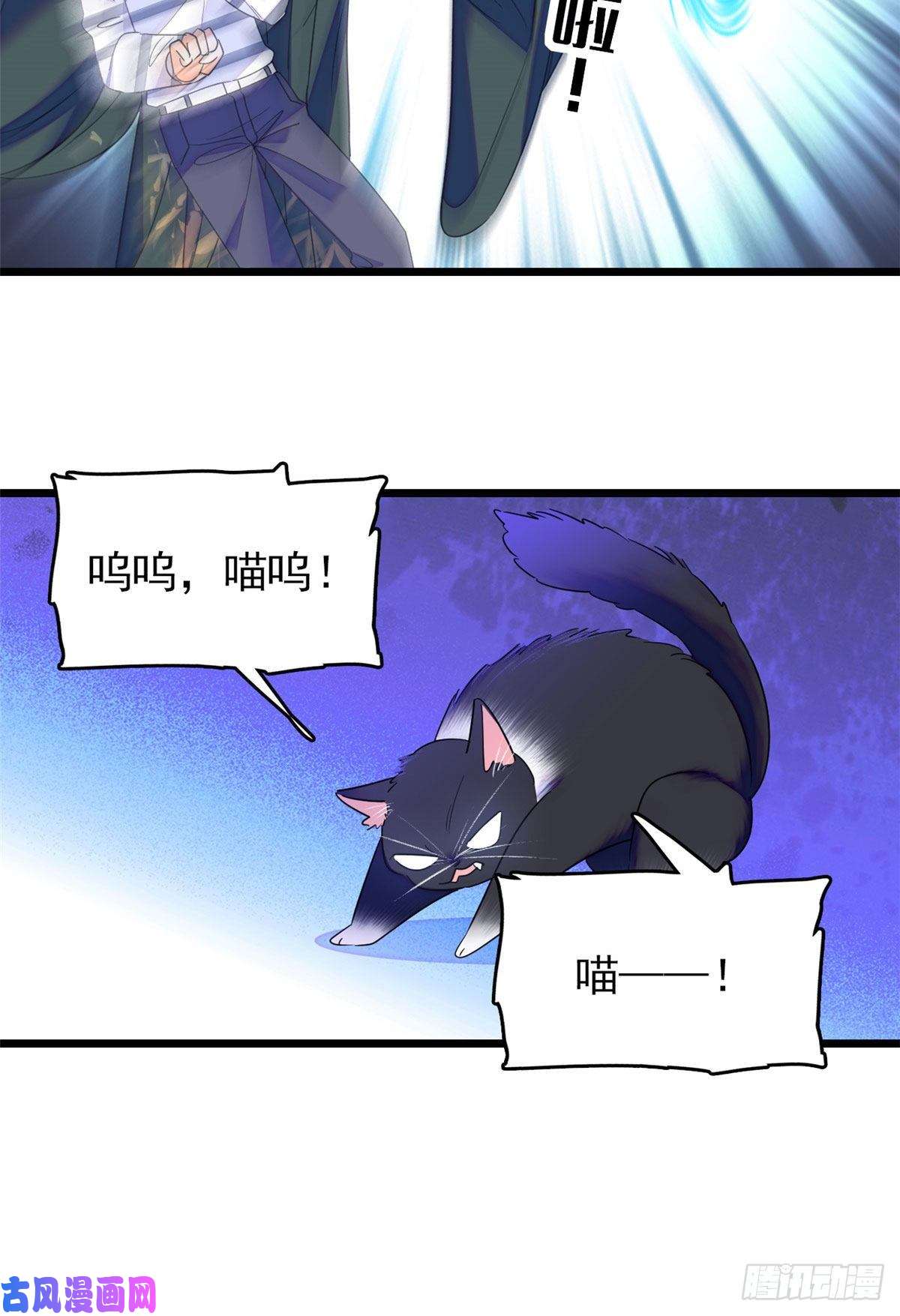 全网都是我和影帝CP粉150 小野猫秒变野男人？