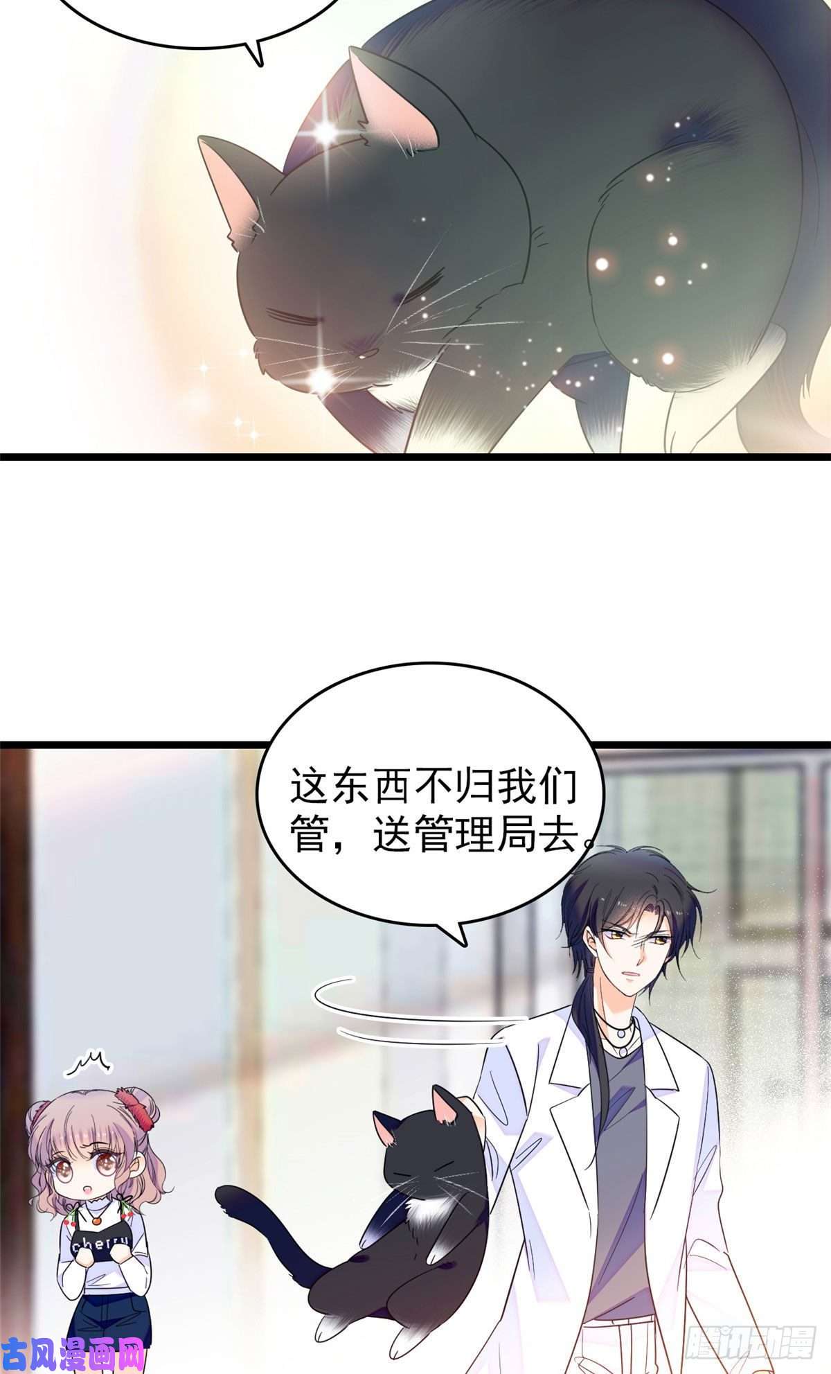 全网都是我和影帝CP粉150 小野猫秒变野男人？
