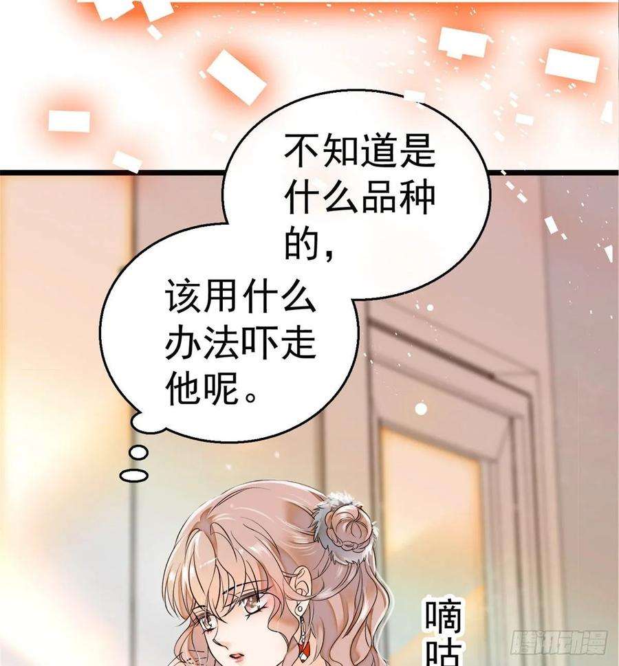全网都是我和影帝CP粉001 我有新老公到货了？！