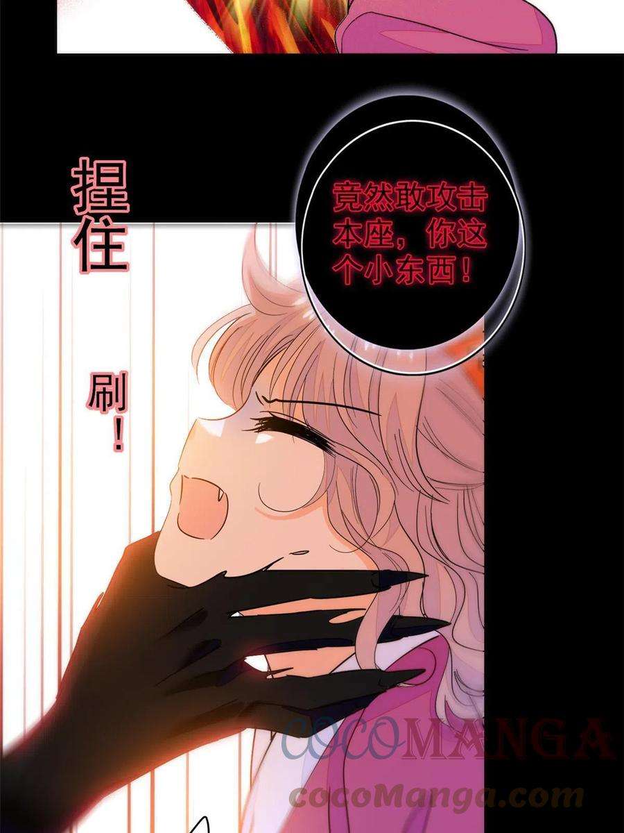 全网都是我和影帝CP粉205 蔺洲，我想见白泽……