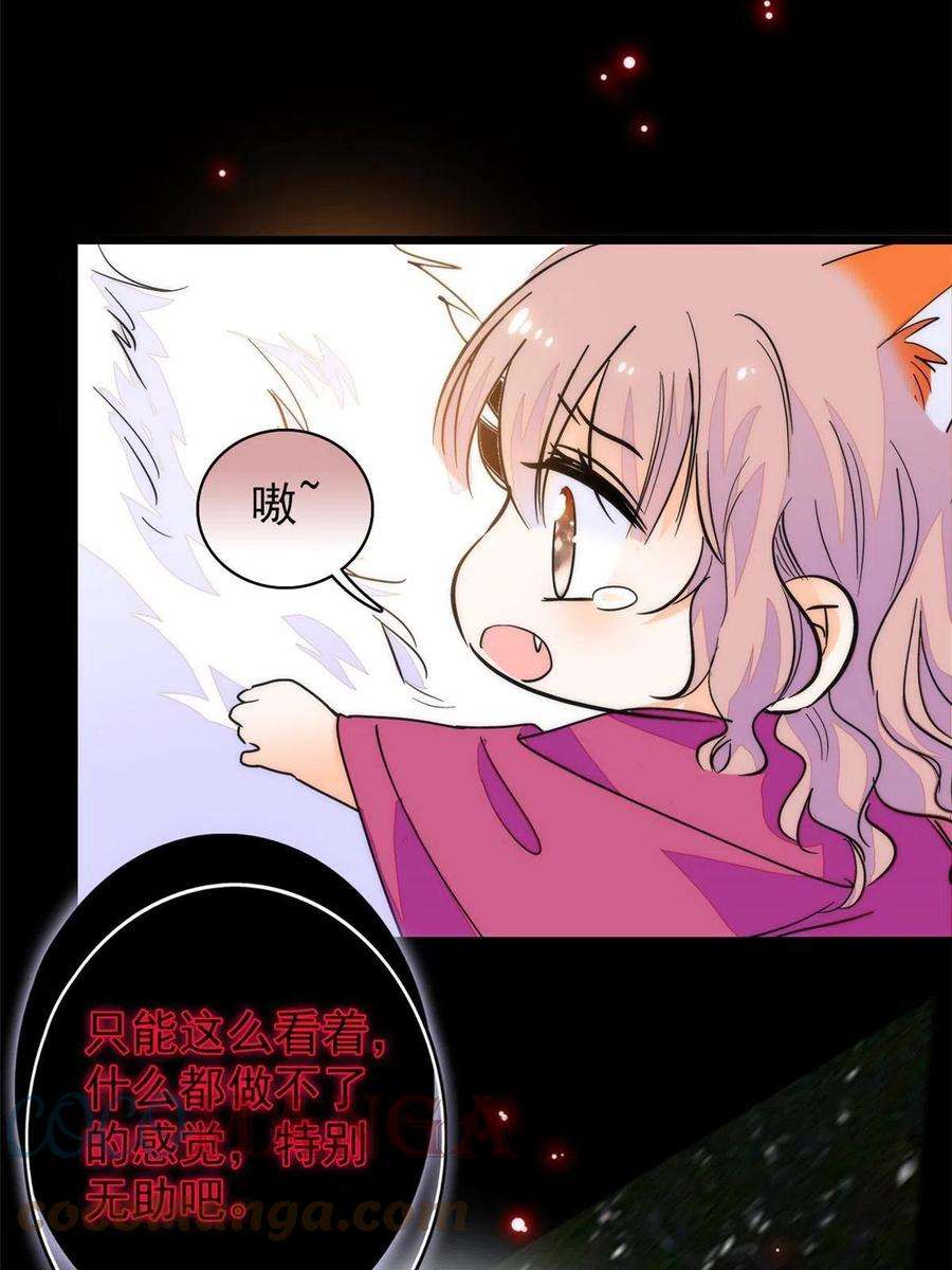 全网都是我和影帝CP粉205 蔺洲，我想见白泽……