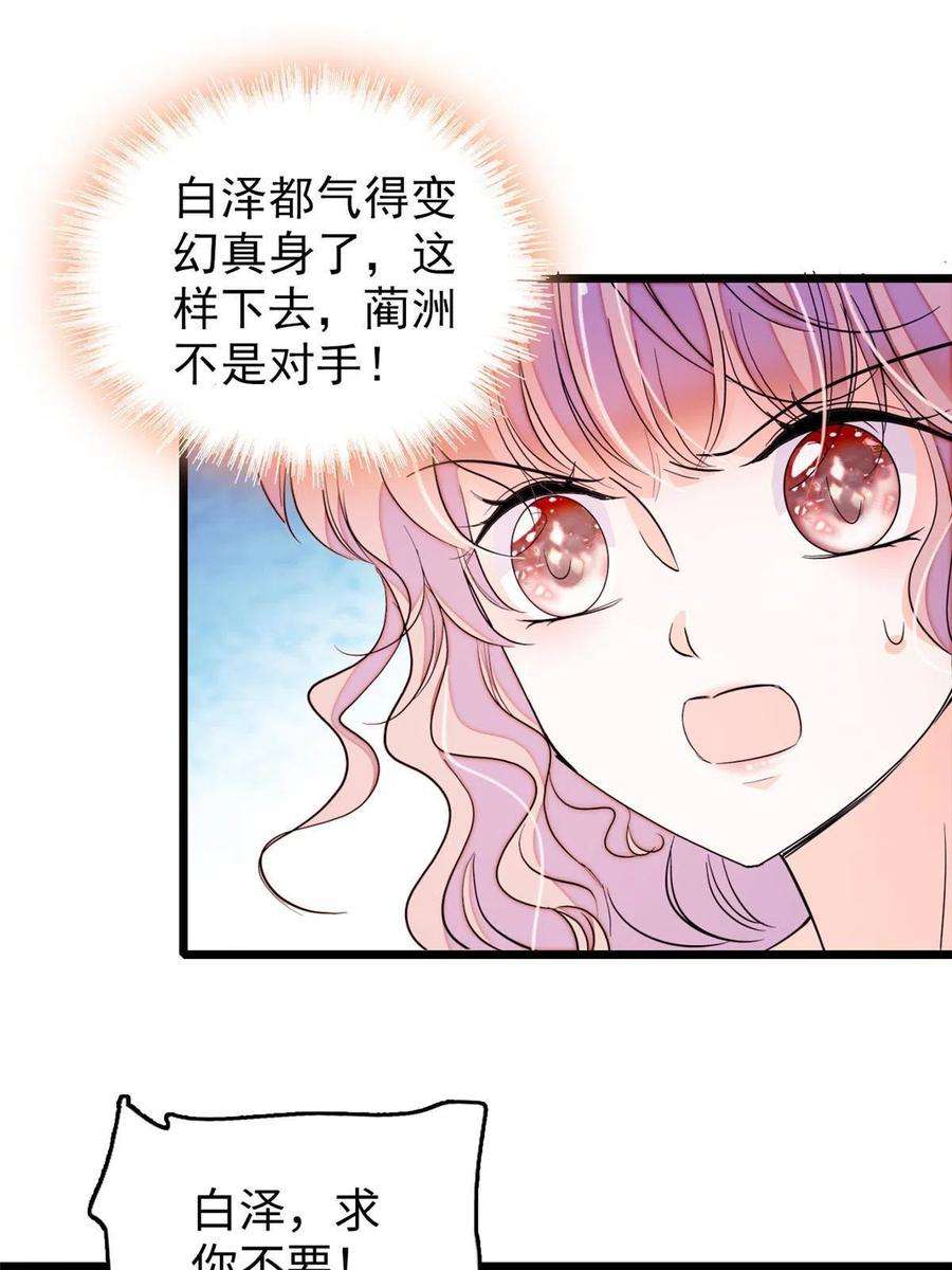 全网都是我和影帝CP粉207 白泽要去父留子？