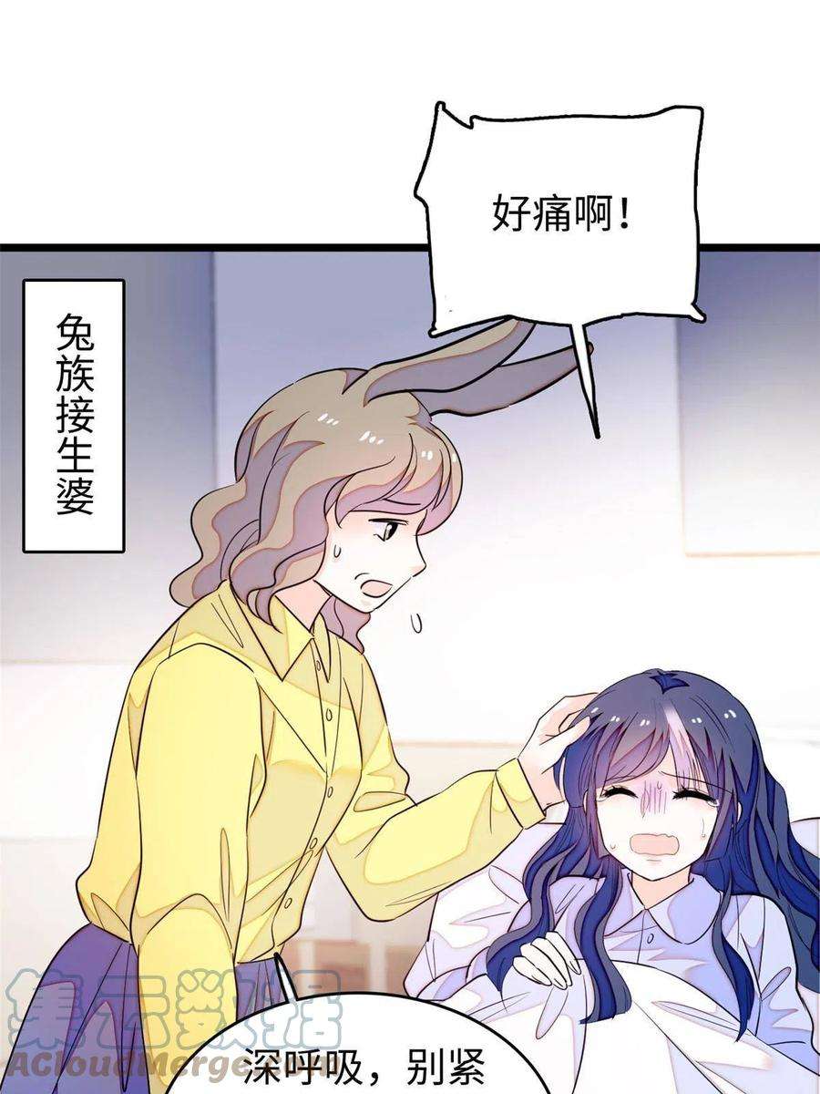 全网都是我和影帝CP粉207 白泽要去父留子？