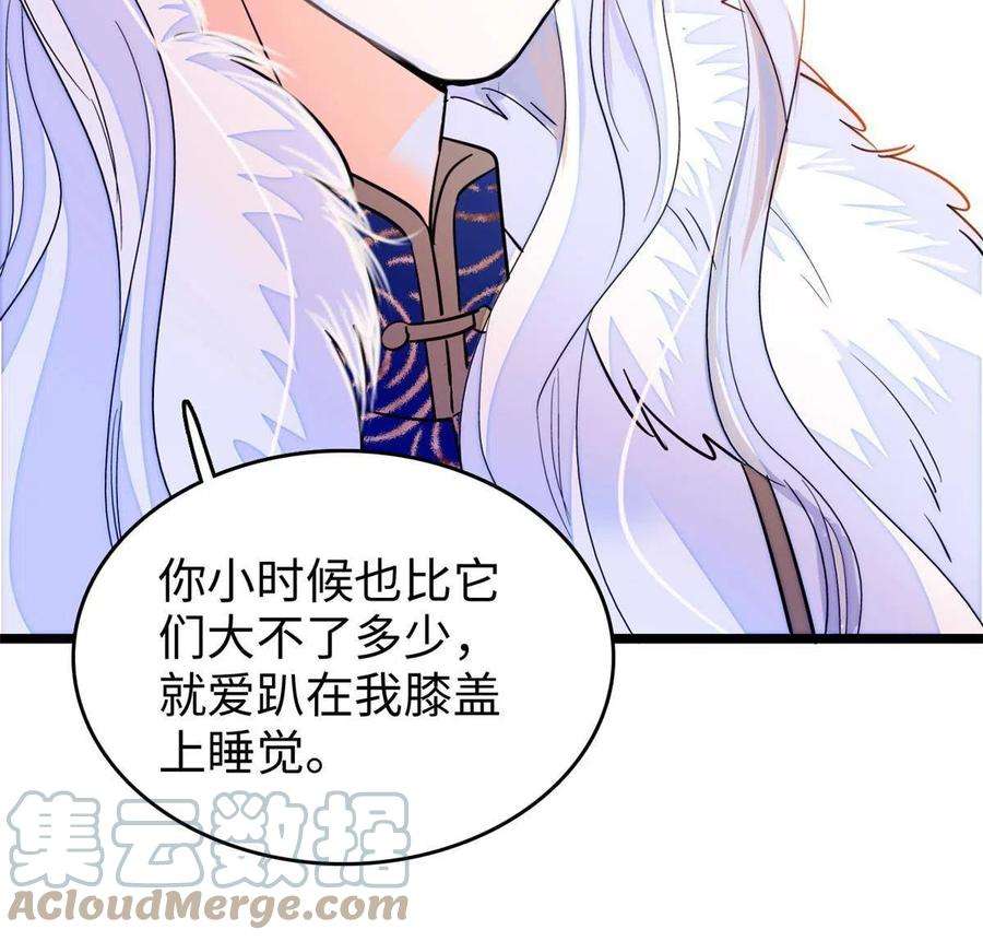 全网都是我和影帝CP粉207 白泽要去父留子？