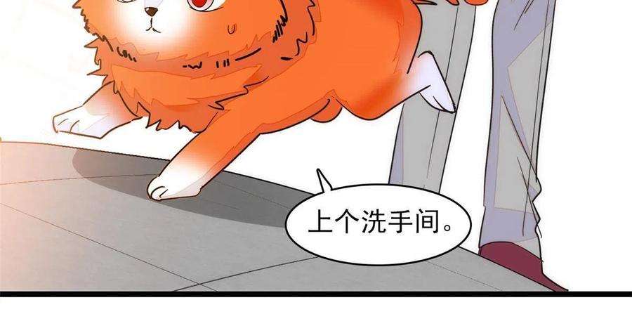 全网都是我和影帝CP粉219 另一个孩子