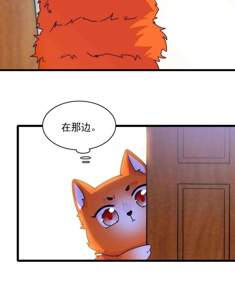 全网都是我和影帝CP粉219 另一个孩子