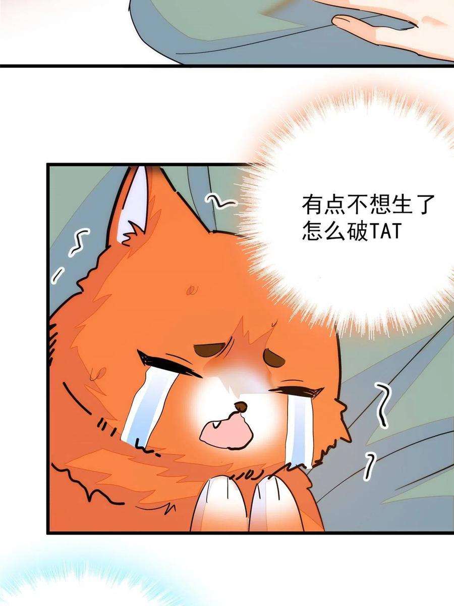 全网都是我和影帝CP粉232 生了！