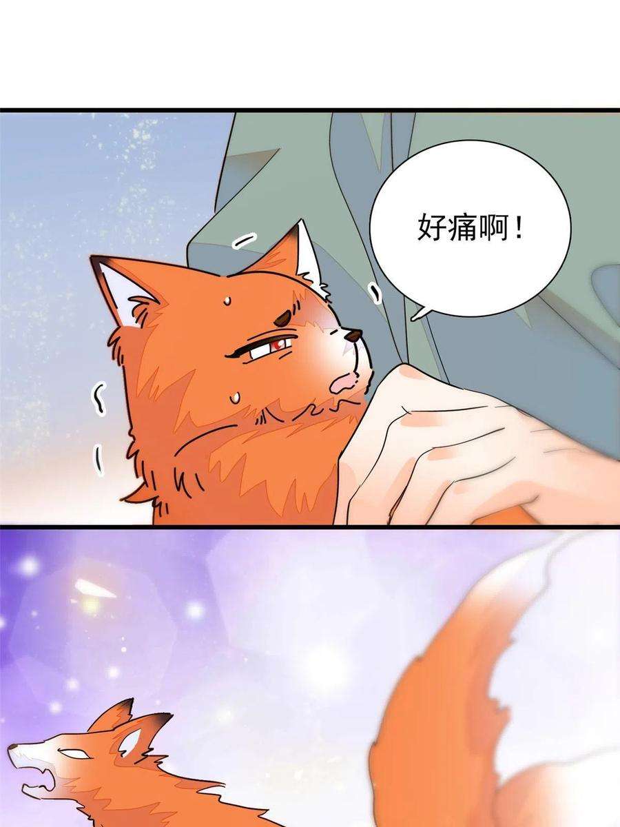 全网都是我和影帝CP粉232 生了！