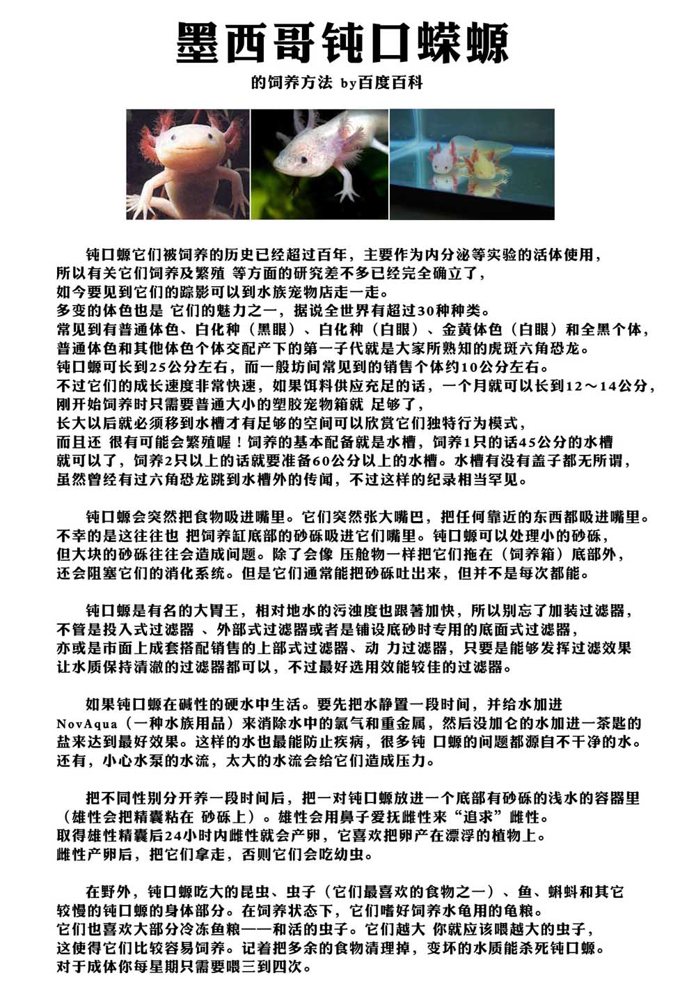 自称贤者弟子的贤者第37话