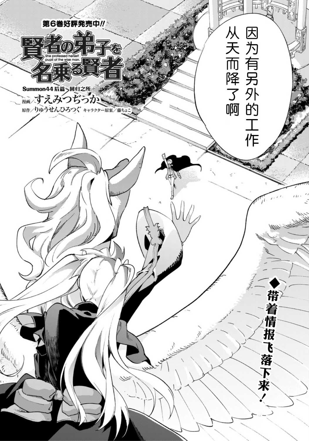 自称贤者弟子的贤者第45话