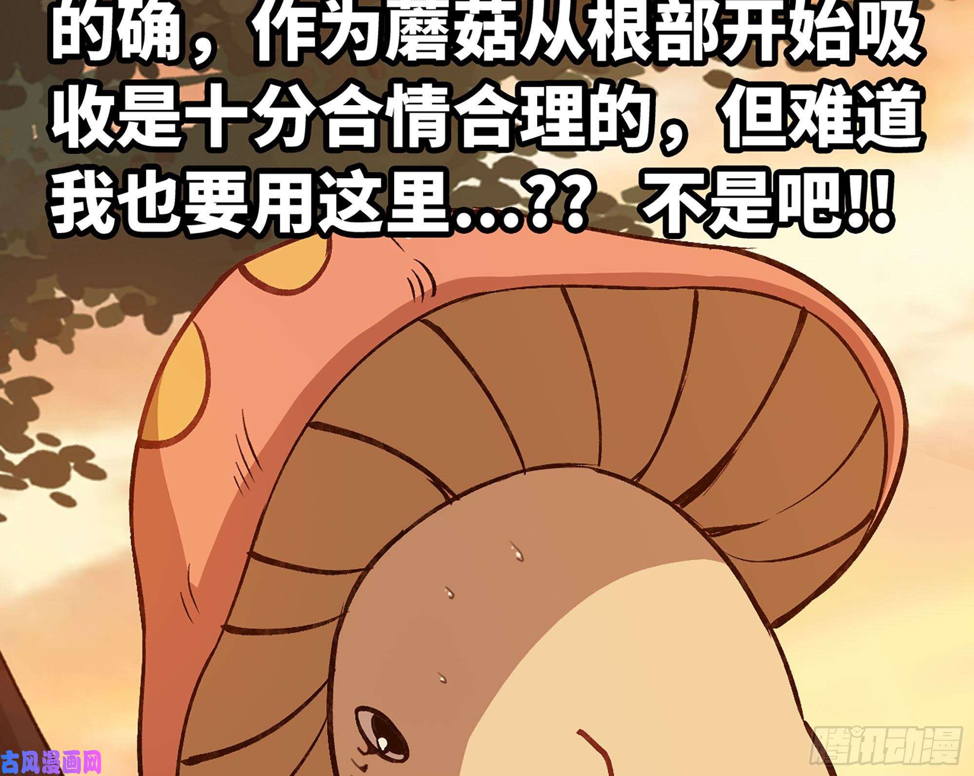 蘑菇勇者14- 分解吸收