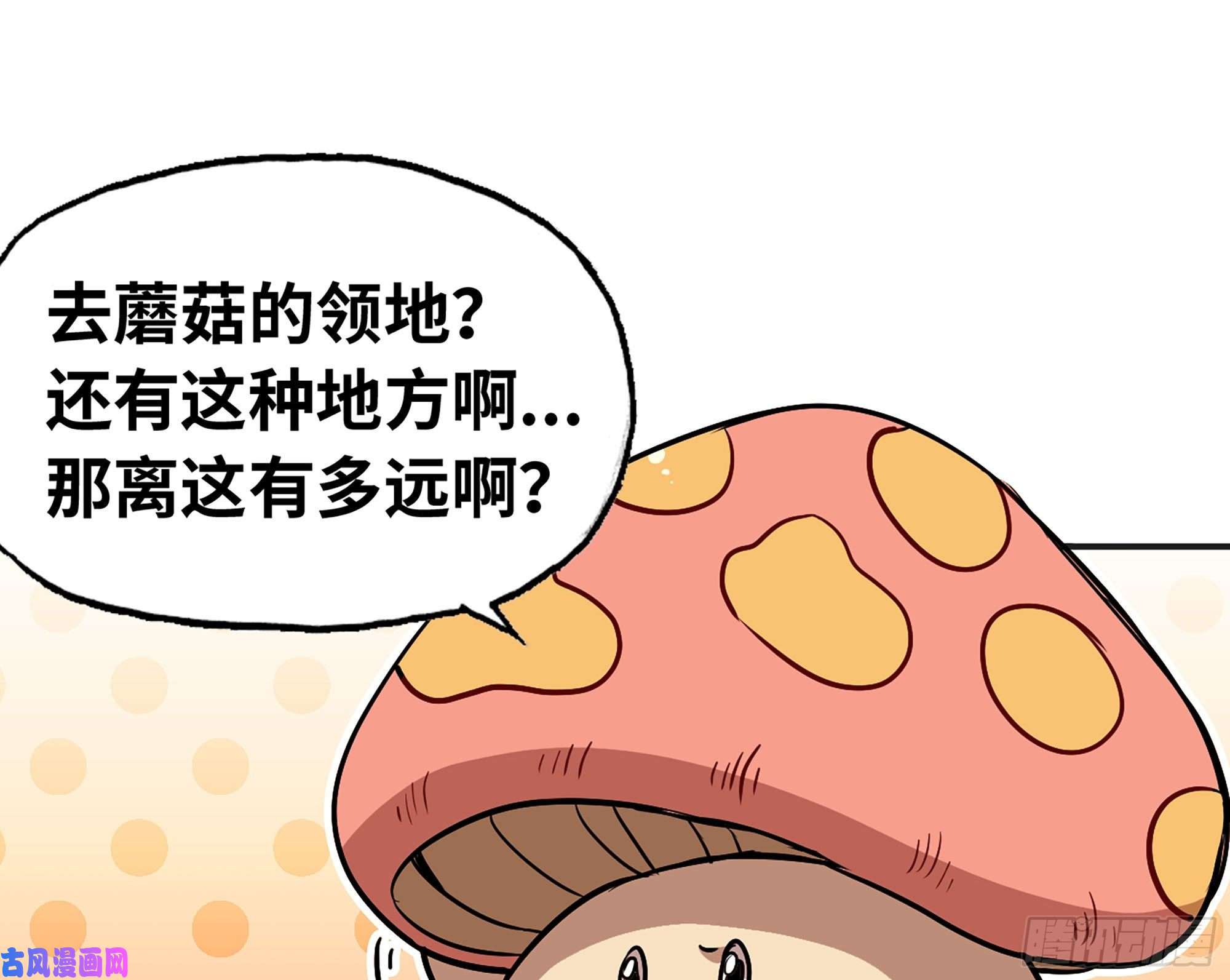 蘑菇勇者18- 中级任务