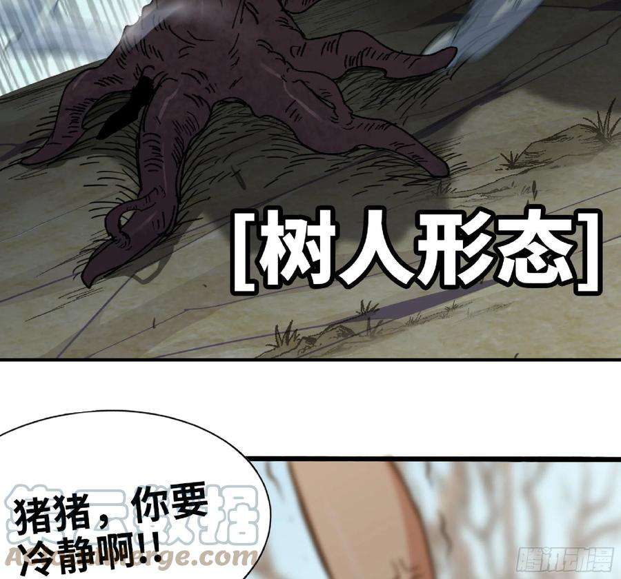 蘑菇勇者56 猪猪猪猪